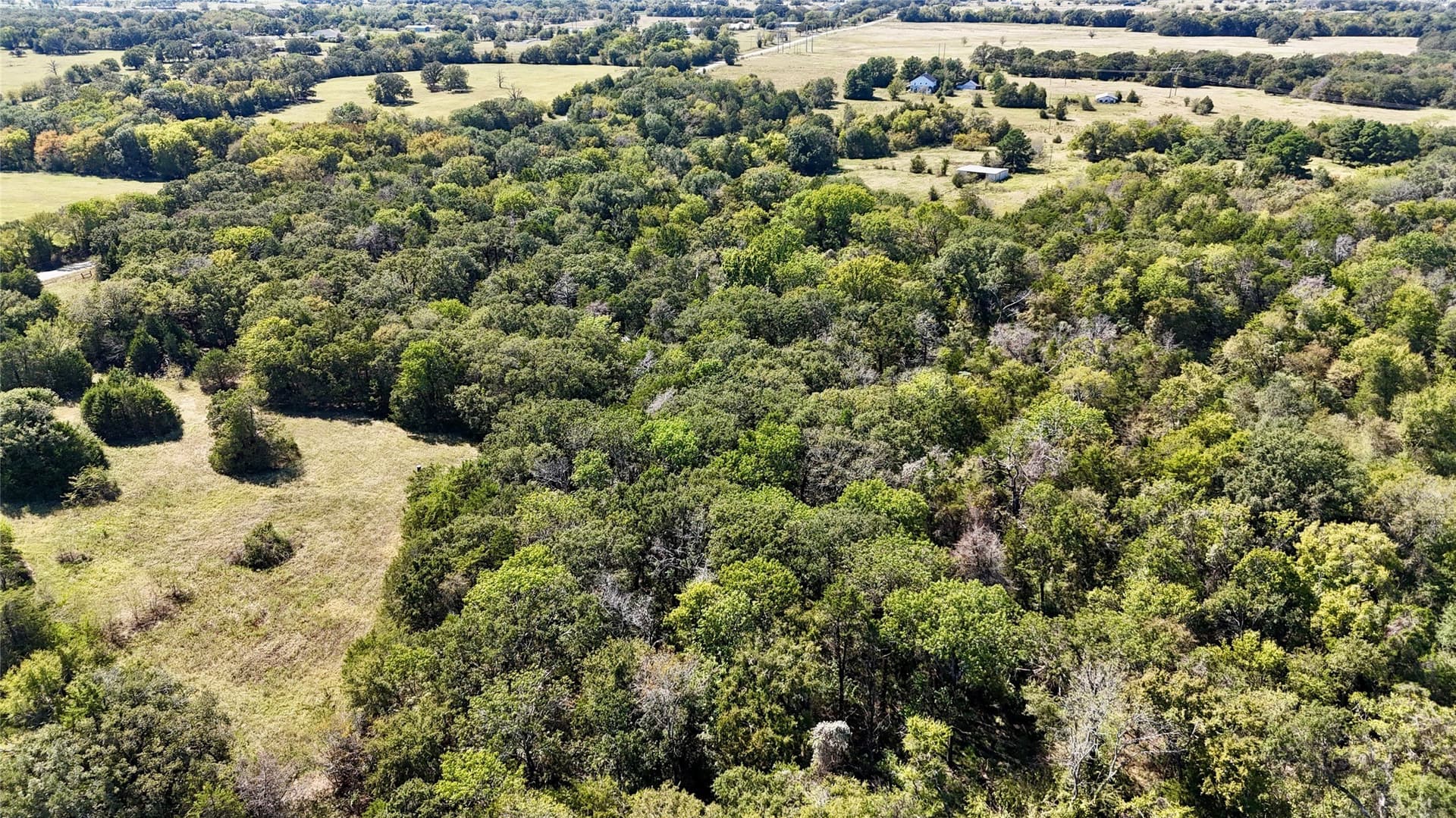 67 acres in Van Zandt County gallery image 2
