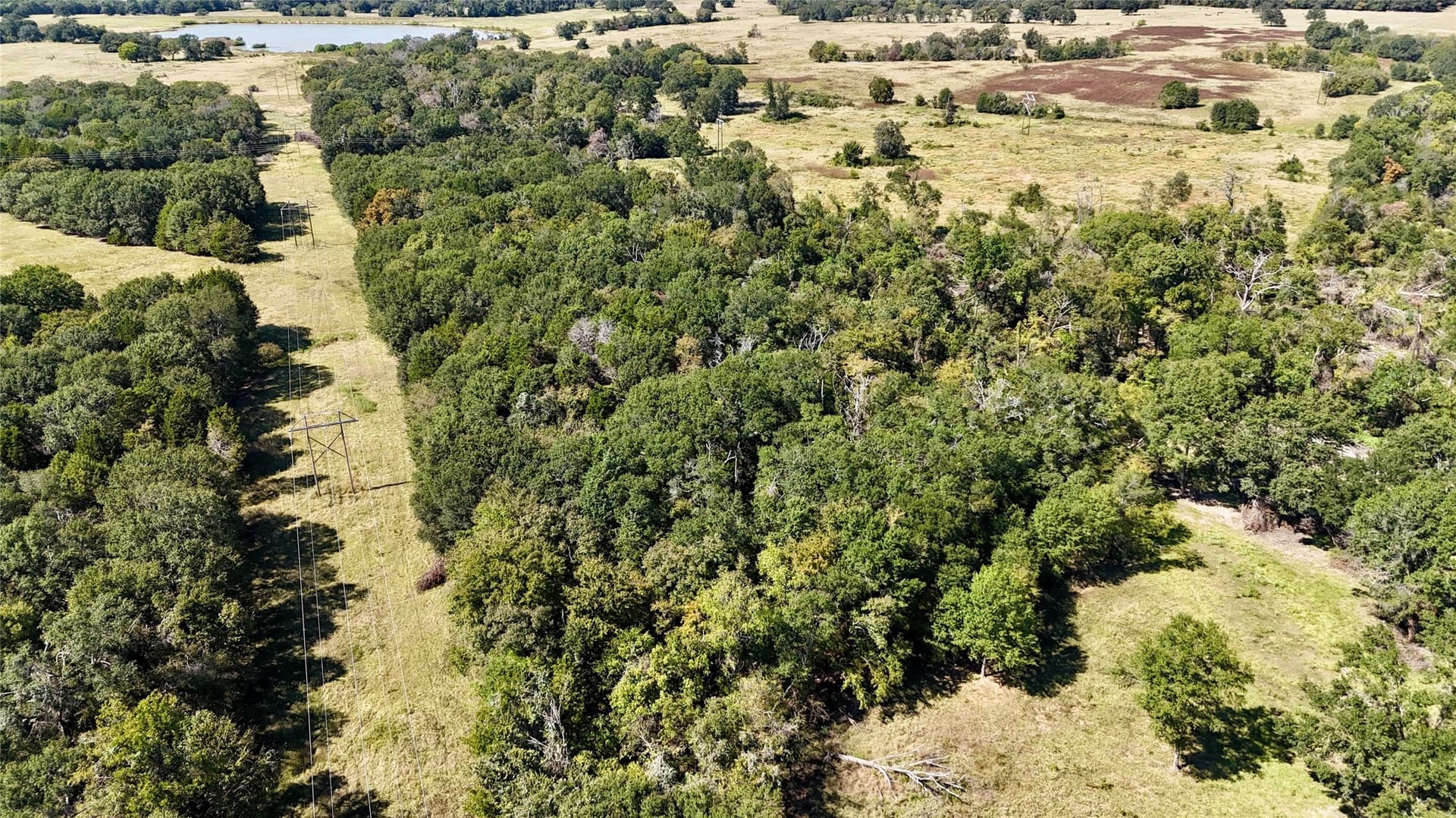67 acres in Van Zandt County gallery image 3