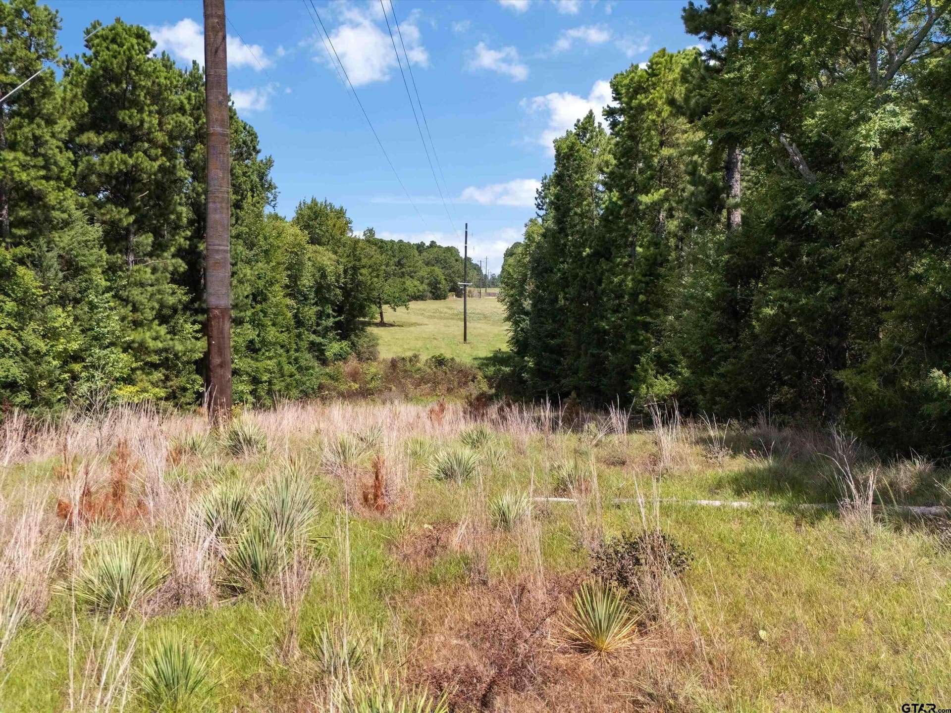 5.2 acres in Upshur County - photo 4