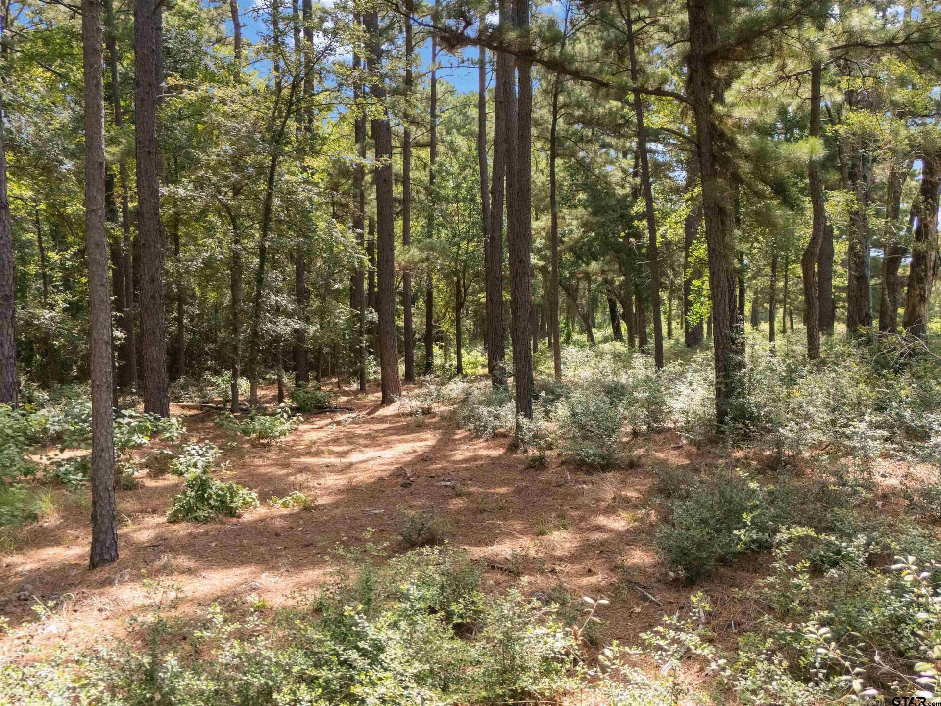 5.2 acres in Upshur County - photo 10
