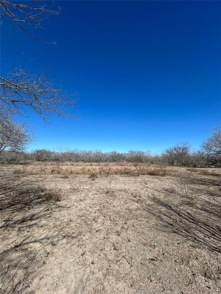 6.31 acres in Jim Wells County - photo 18