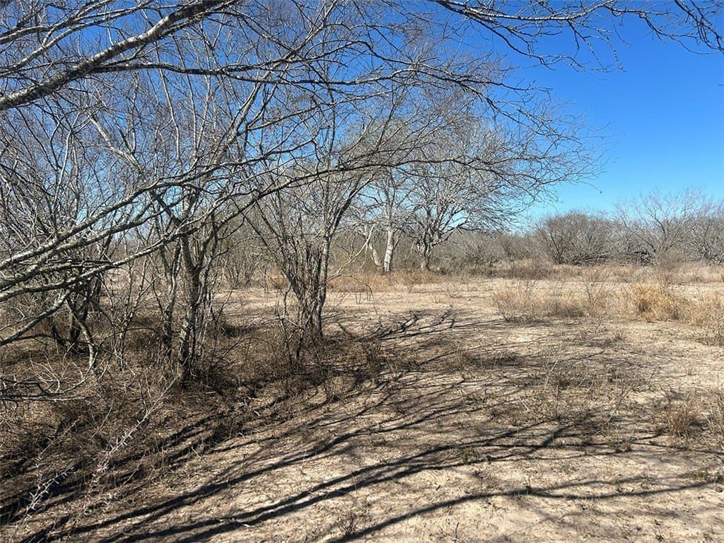 6.31 acres in Jim Wells County - photo 15