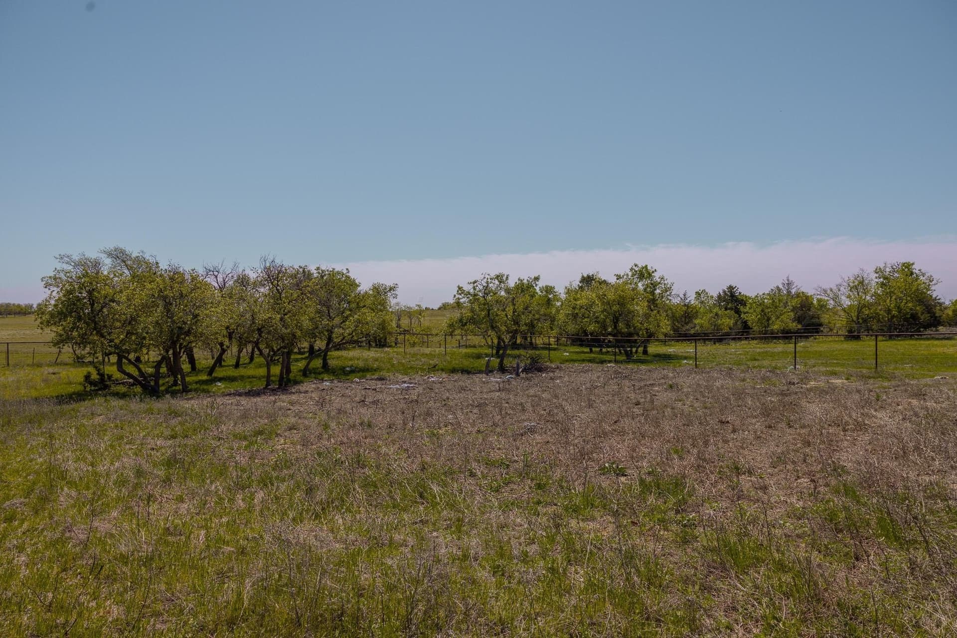 319.61 acres in Wheeler County - photo 21