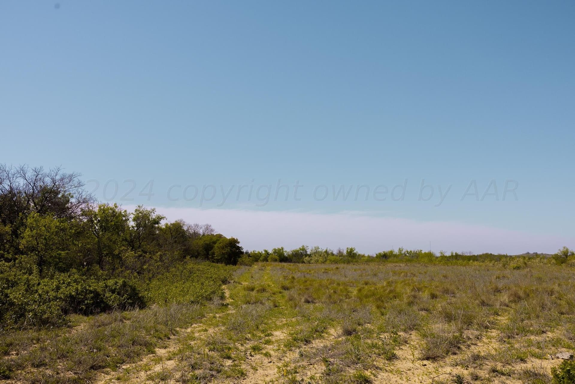 319.61 acres in Wheeler County - photo 7