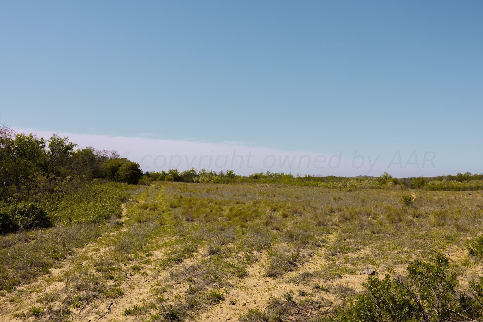 319.61 acres in Wheeler County - photo 8