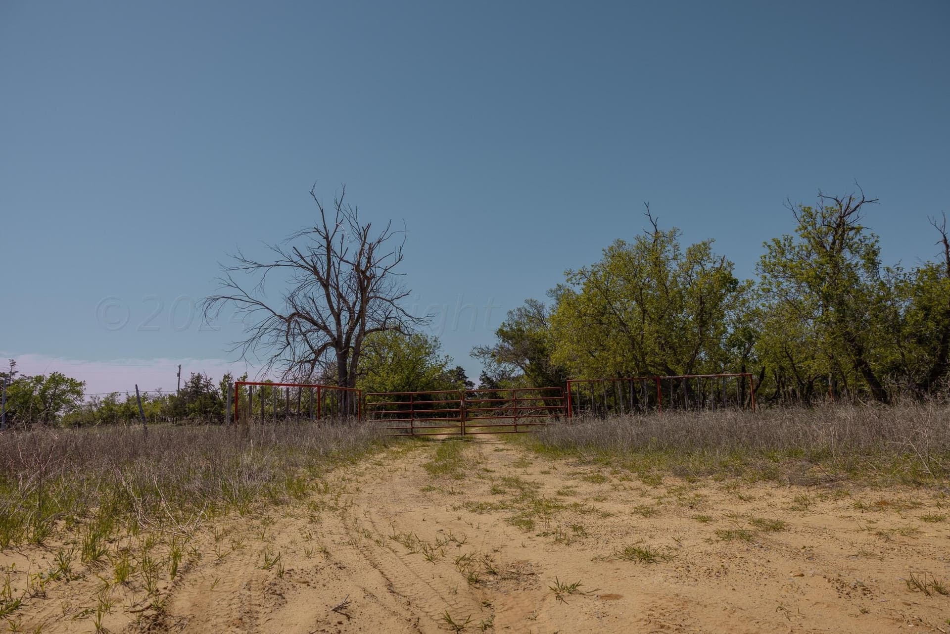 319.61 acres in Wheeler County - photo 23
