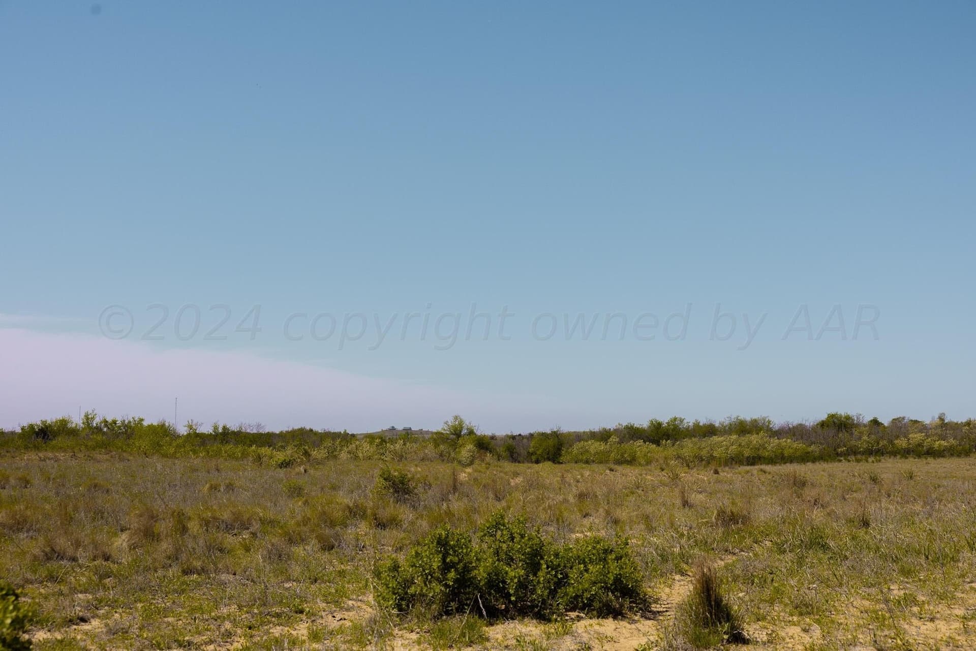 319.61 acres in Wheeler County - photo 6