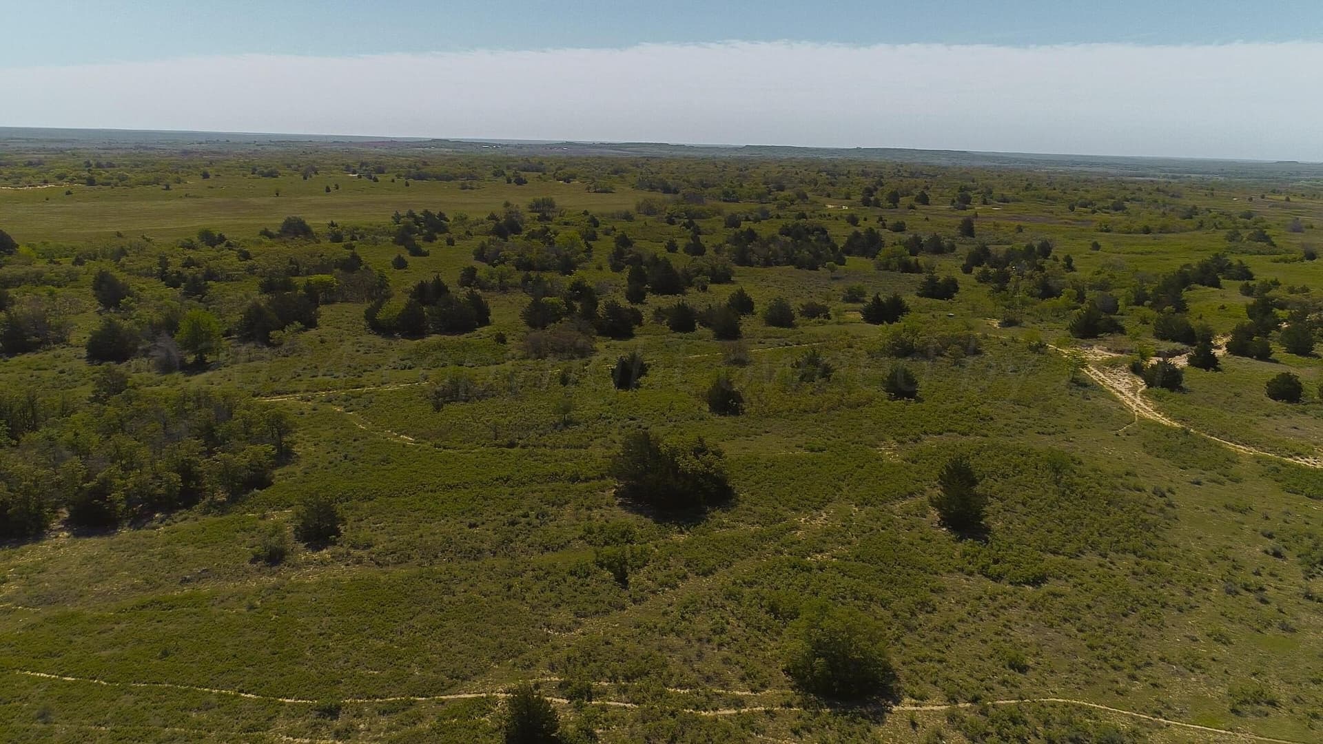 319.61 acres in Wheeler County - photo 33