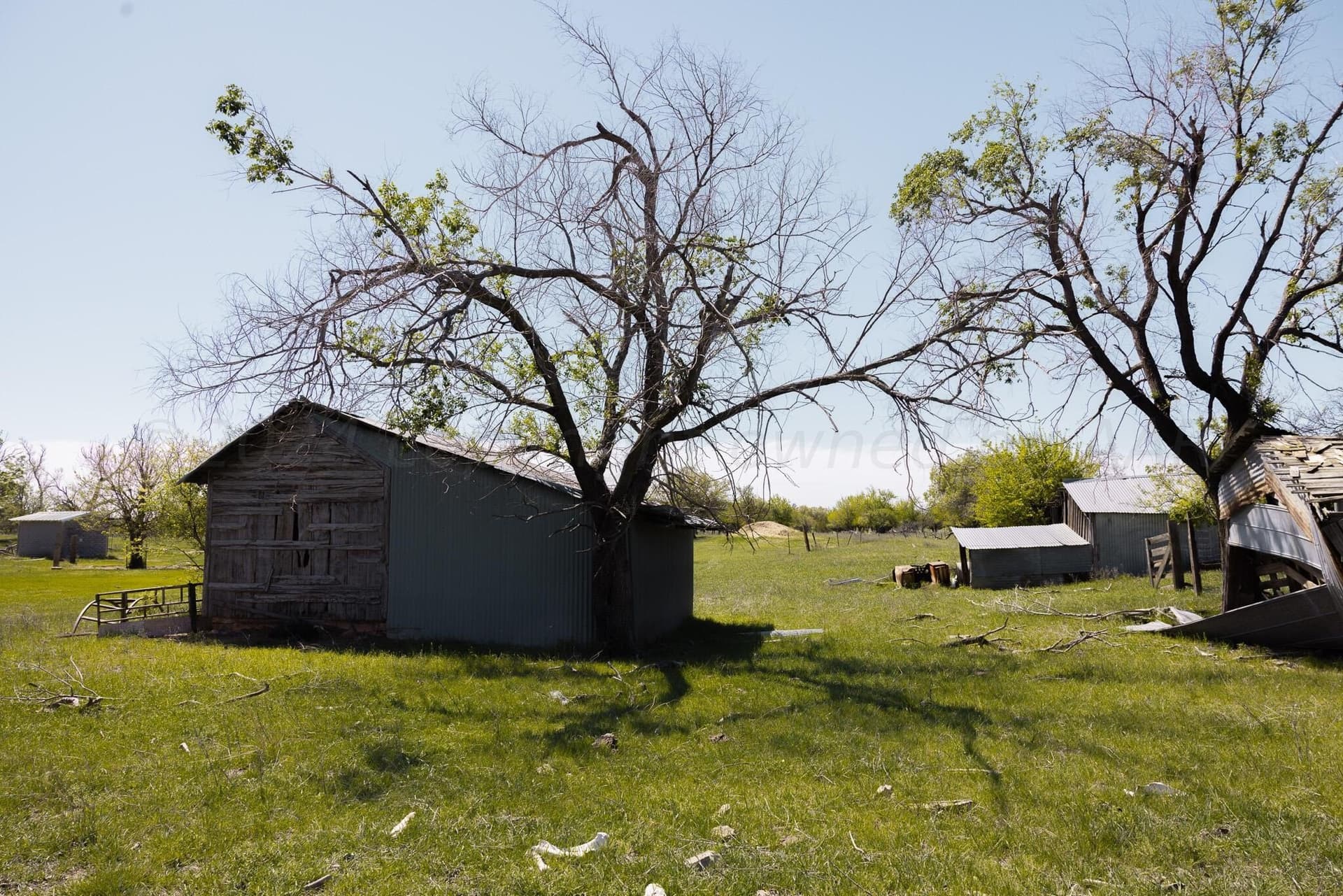 319.61 acres in Wheeler County - photo 12