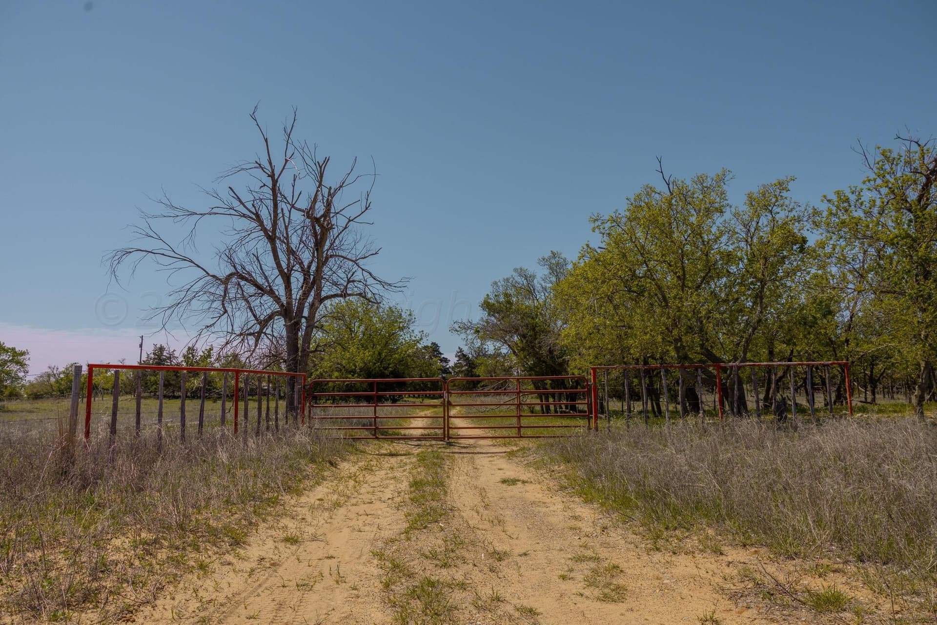 319.61 acres in Wheeler County - photo 24