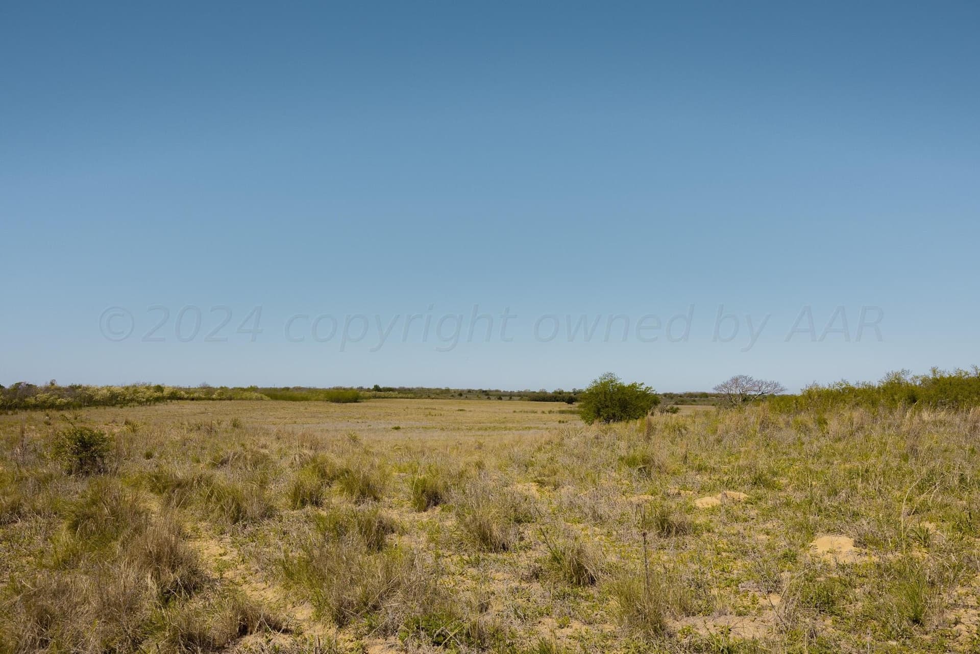 319.61 acres in Wheeler County - photo 9