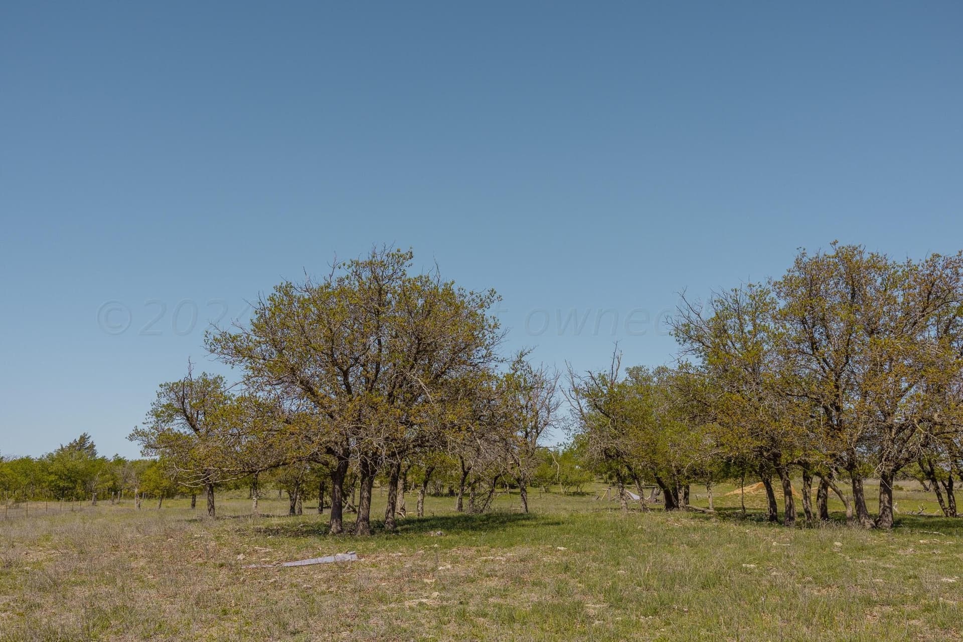 319.61 acres in Wheeler County - photo 20
