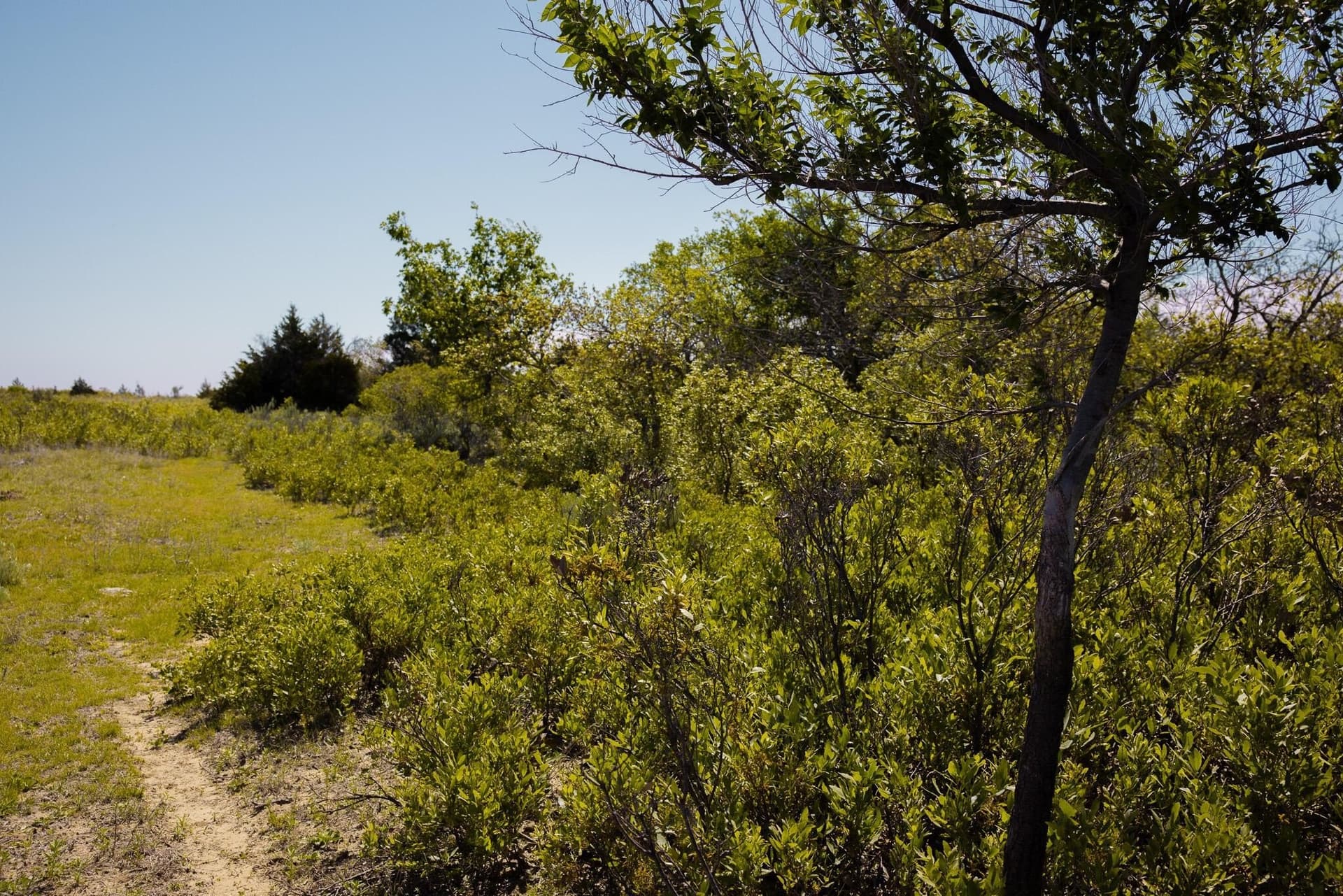 319.61 acres in Wheeler County - photo 2