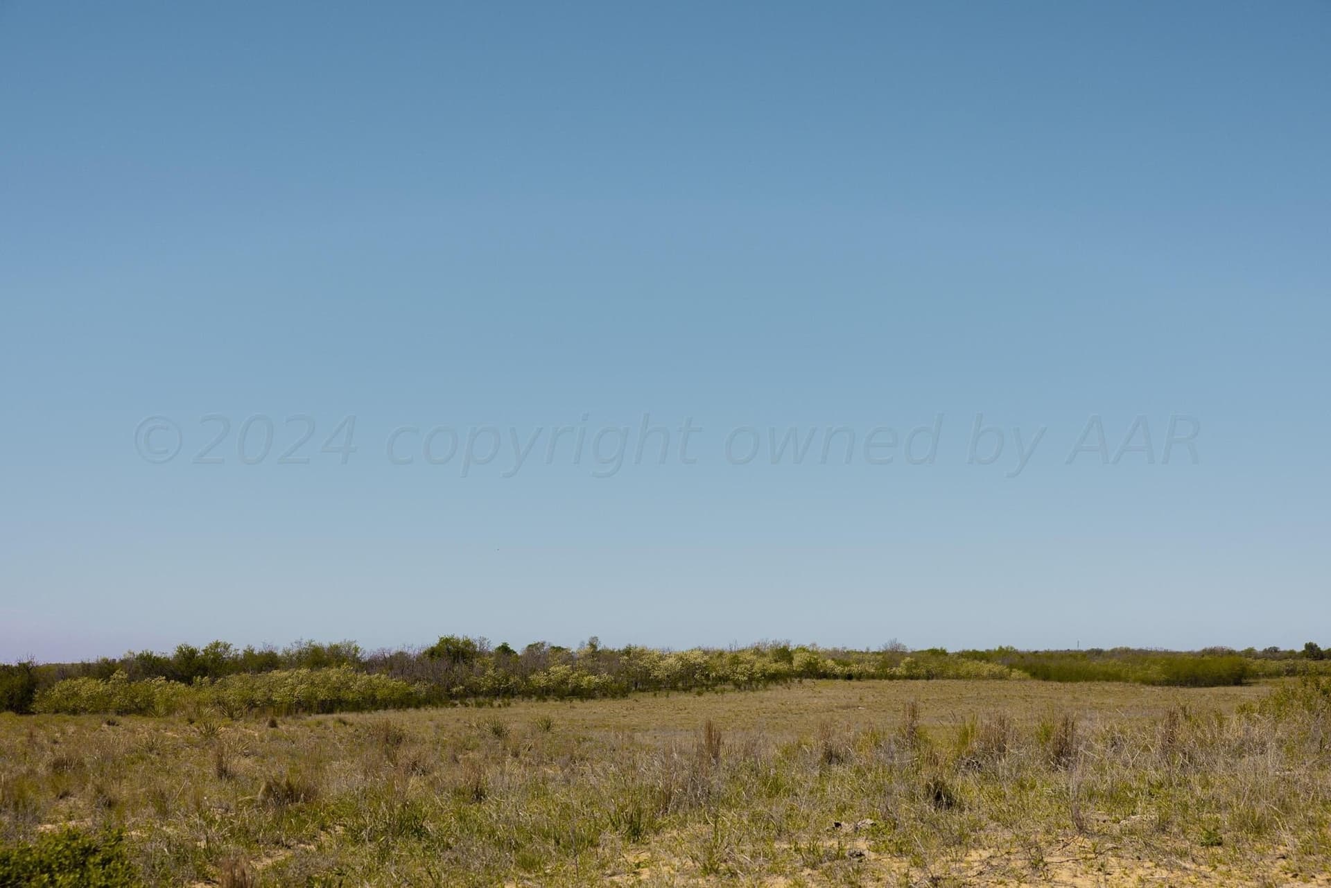 319.61 acres in Wheeler County - photo 5