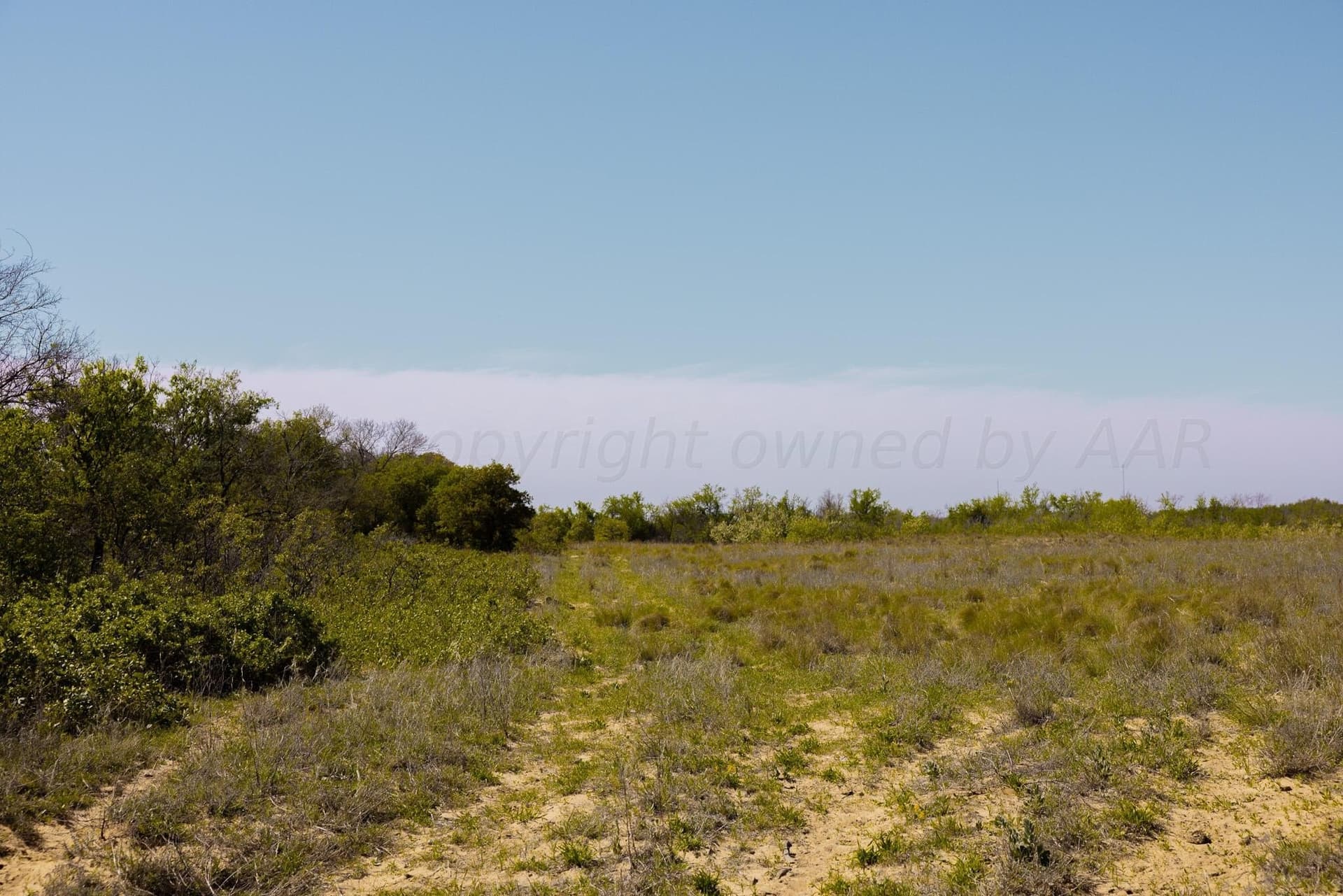 319.61 acres in Wheeler County - photo 4