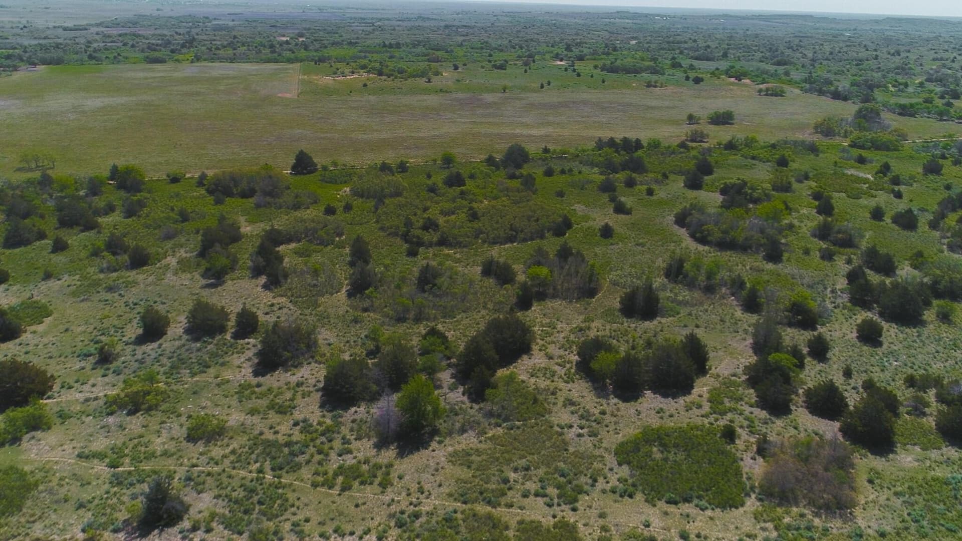 319.61 acres in Wheeler County - photo 46