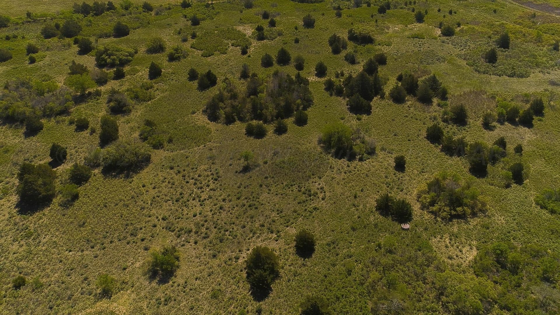 319.61 acres in Wheeler County - photo 40