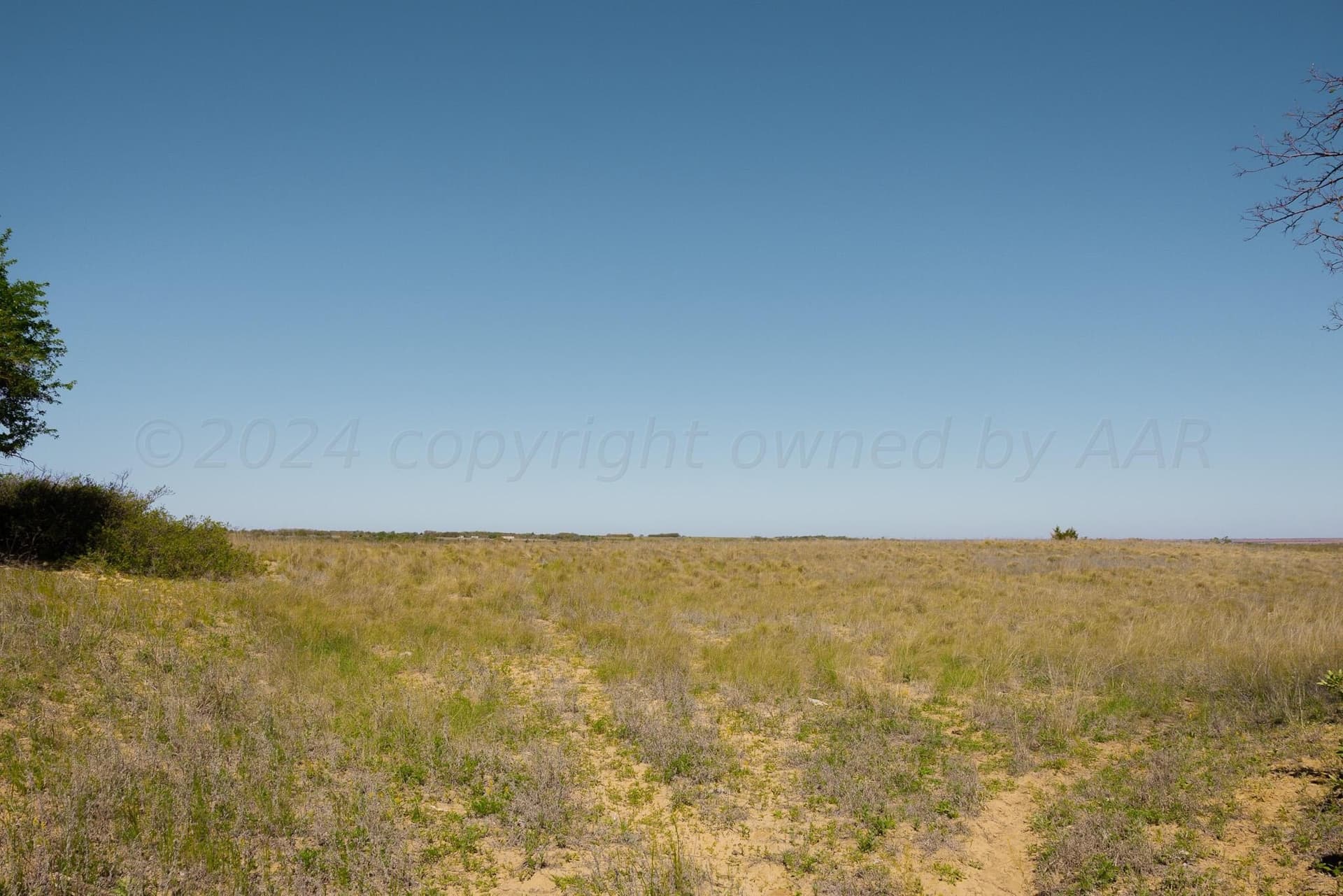 319.61 acres in Wheeler County - photo 3