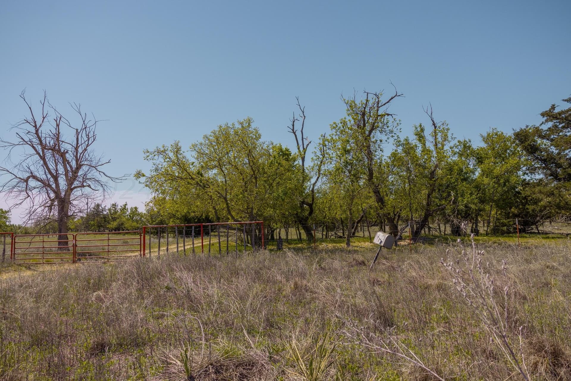 319.61 acres in Wheeler County - photo 25