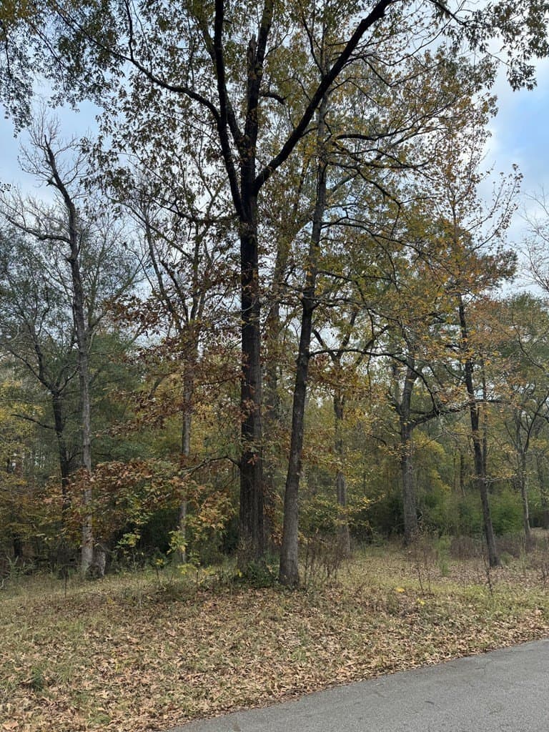 0.34 acres in Texas County - photo 8