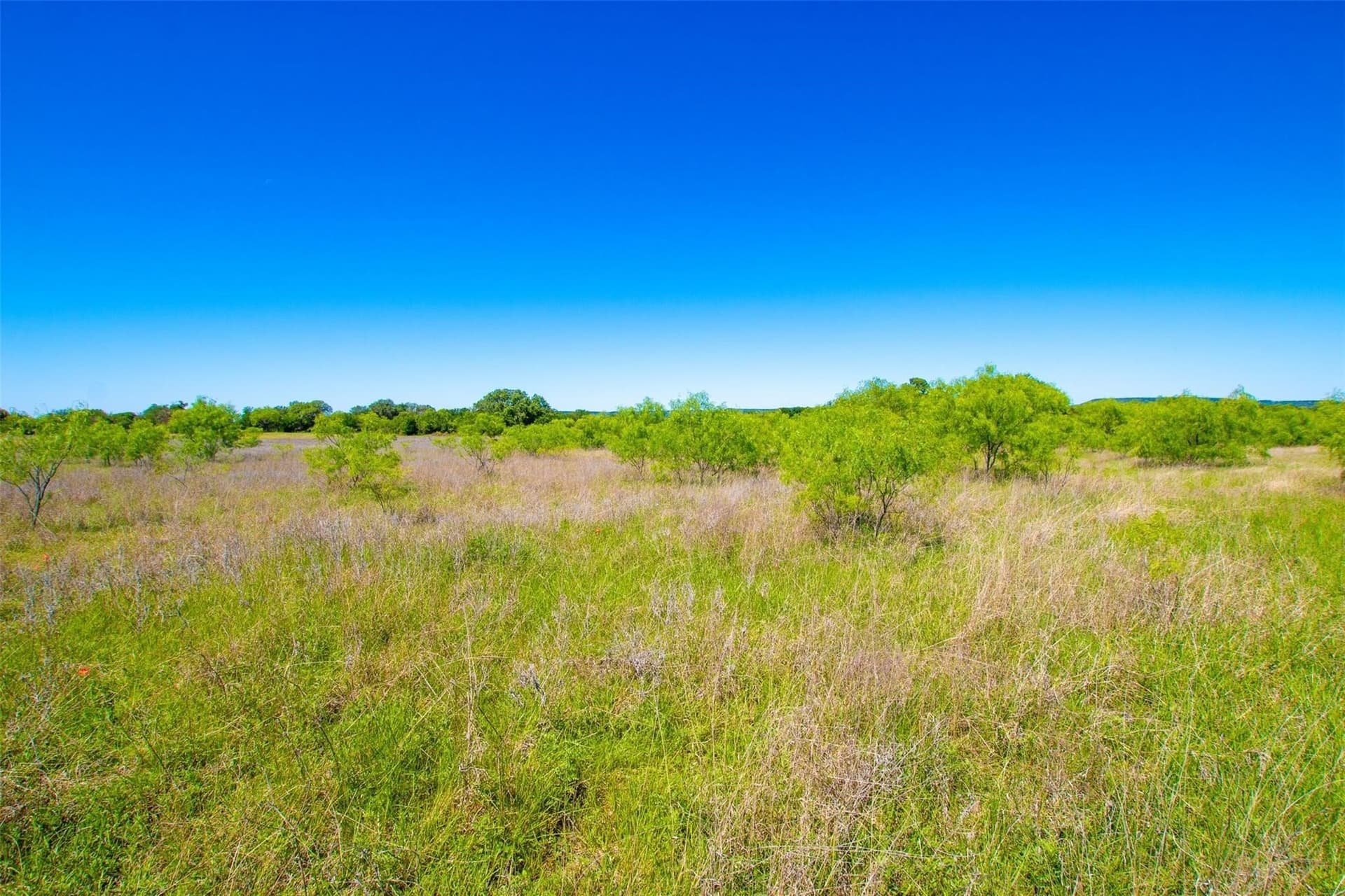 5 acres in Palo Pinto County gallery image 4