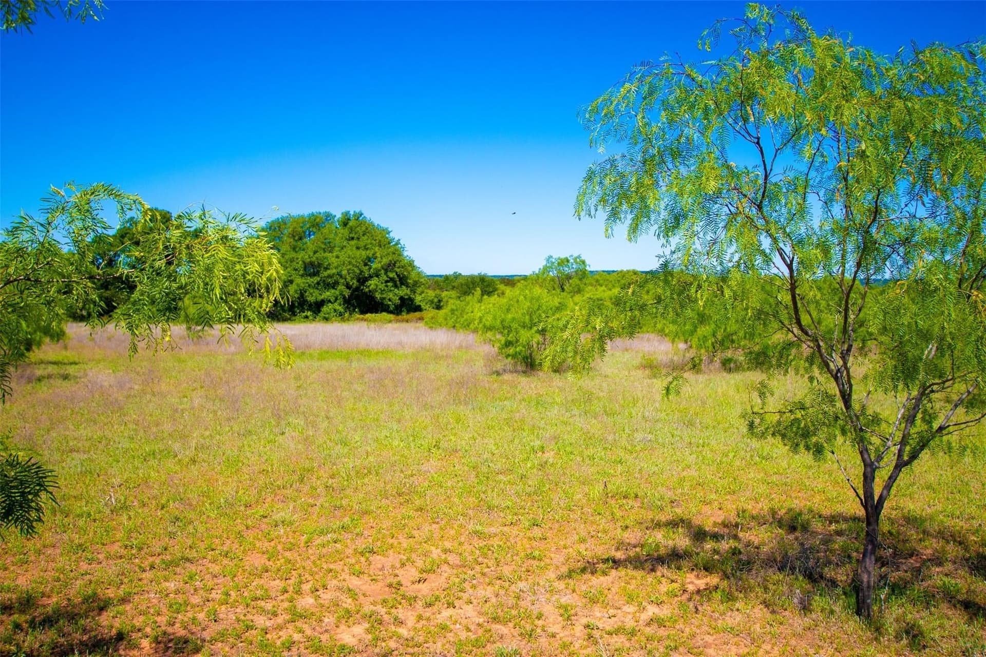 5 acres in Palo Pinto County featured view
