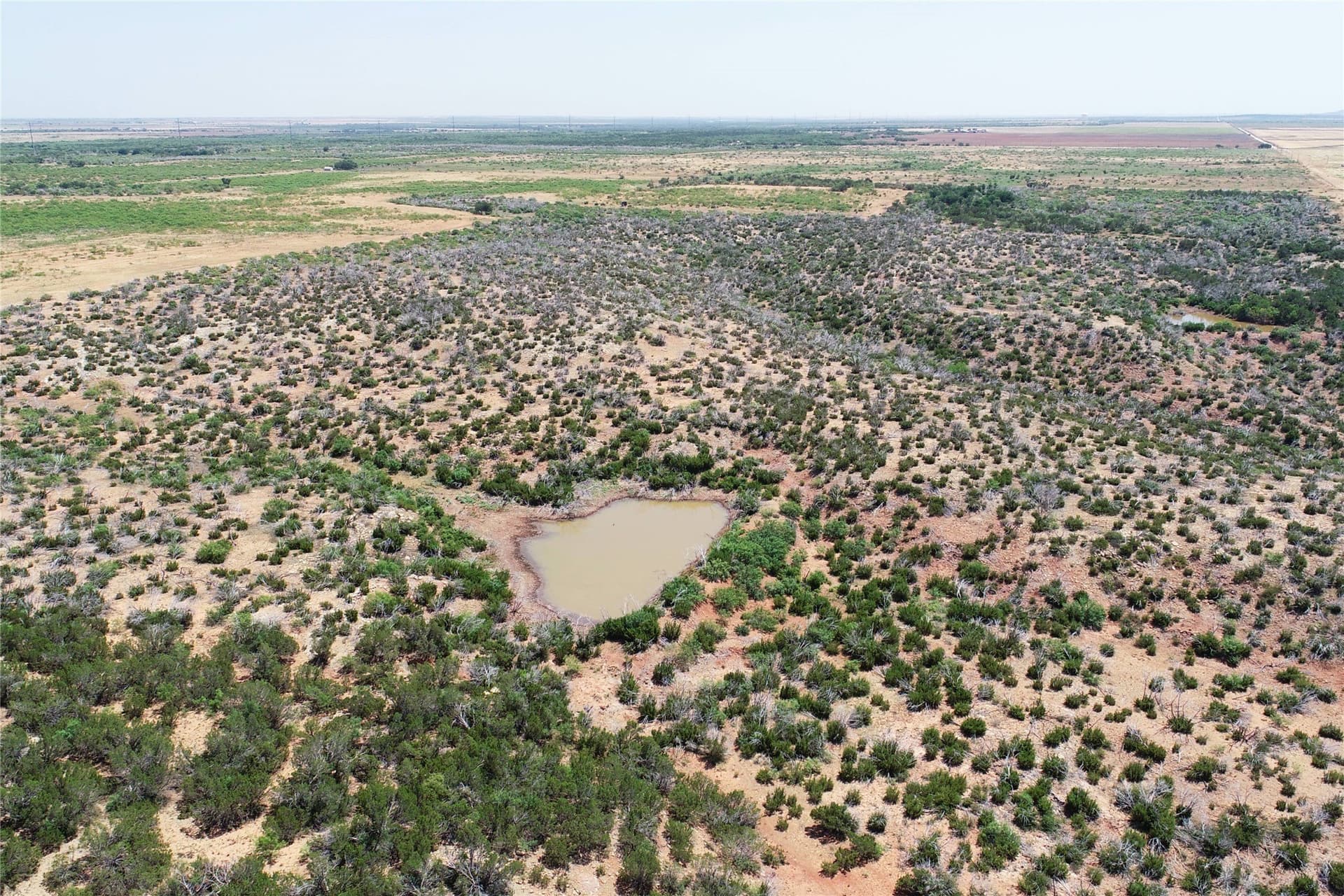 320 acres in Hardeman County - photo 14