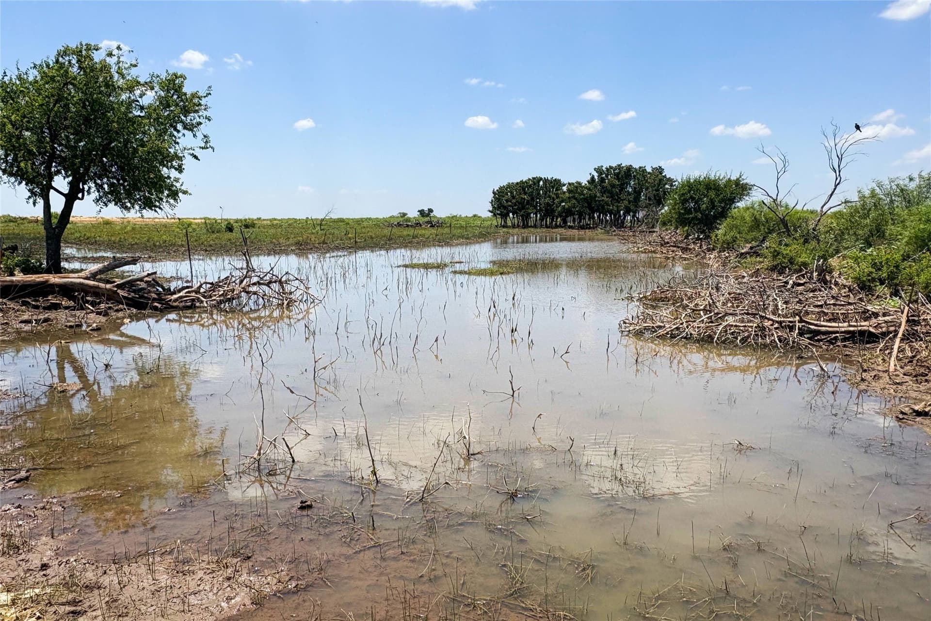 320 acres in Hardeman County - photo 27