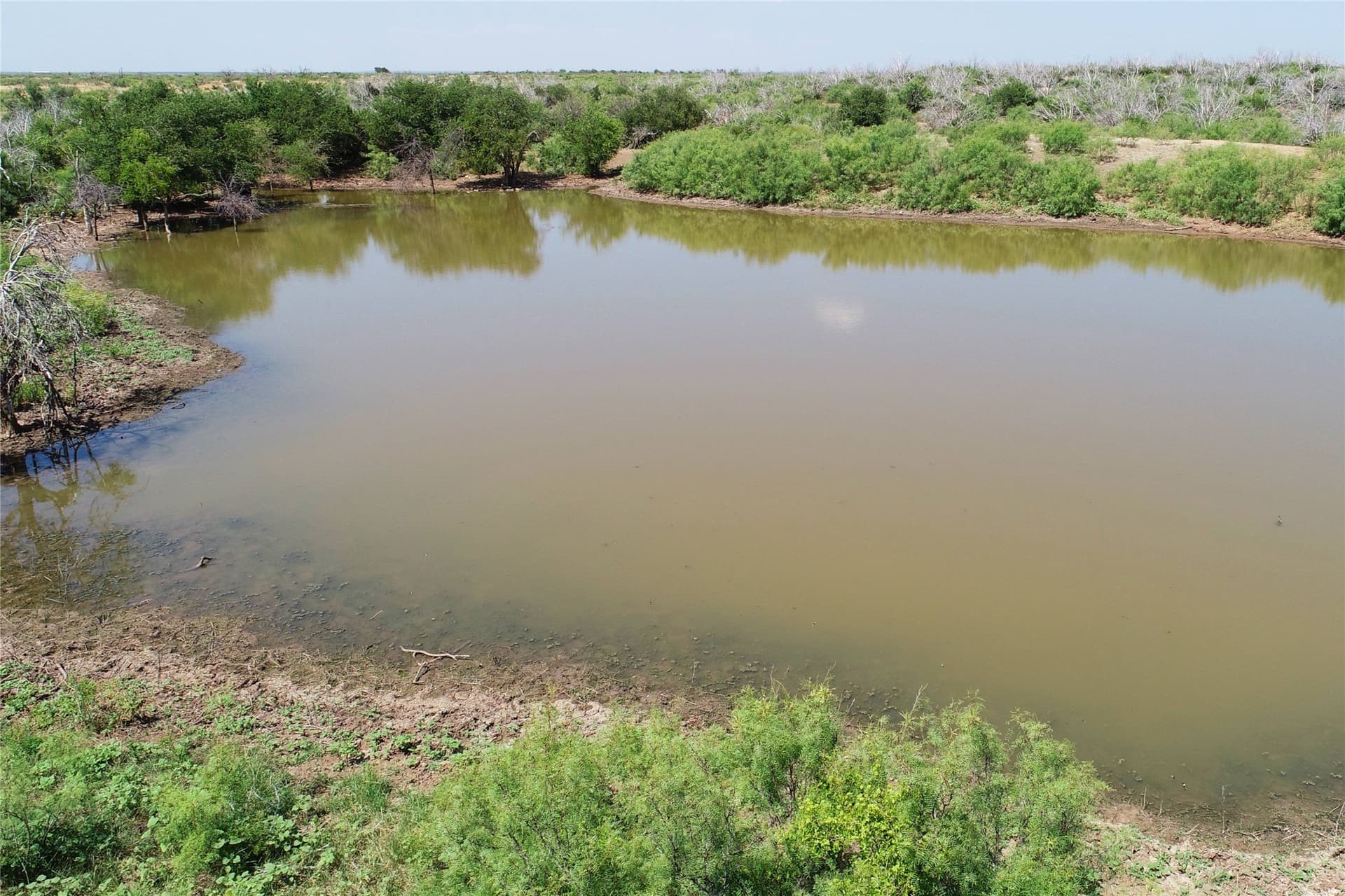 320 acres in Hardeman County gallery image 4