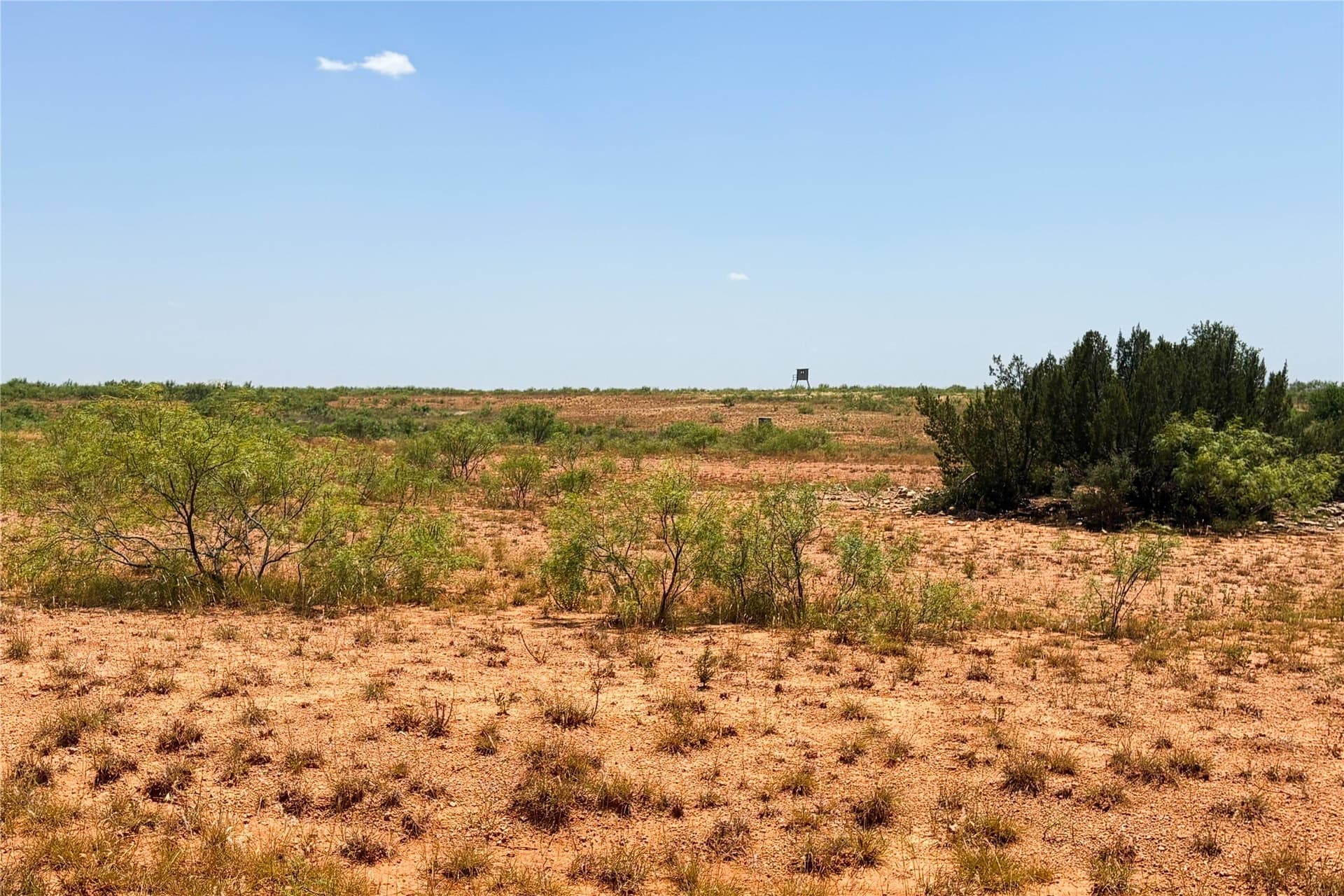 320 acres in Hardeman County - photo 28