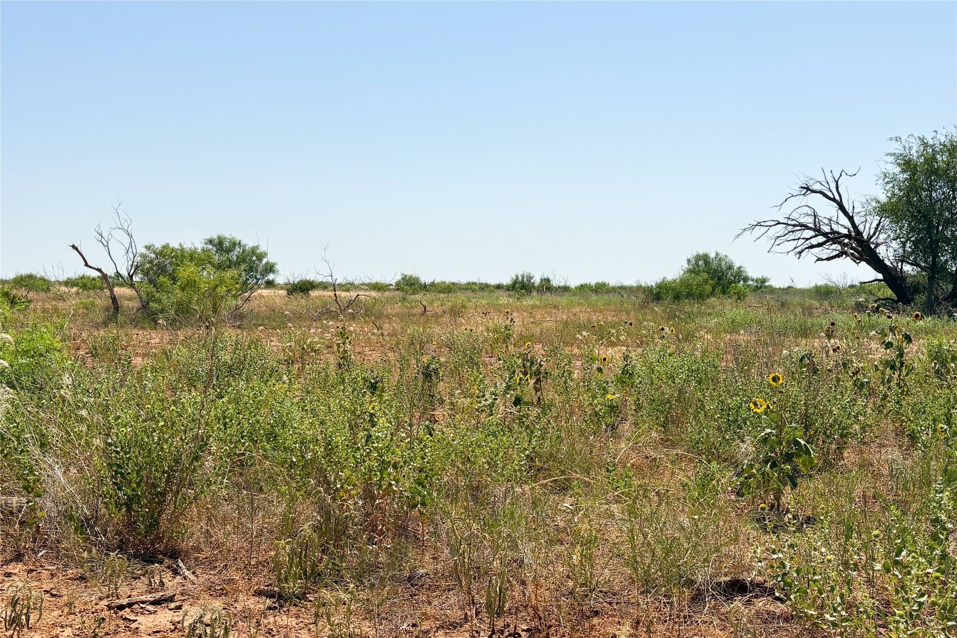 320 acres in Hardeman County - photo 38