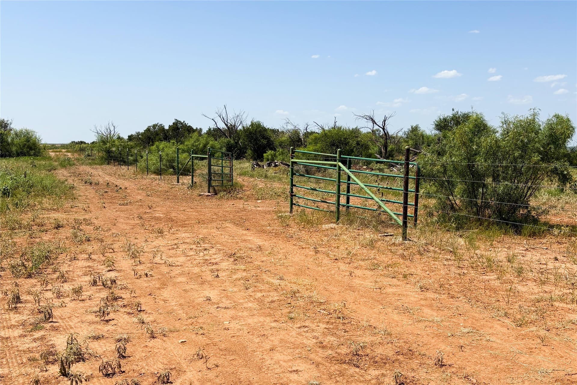 320 acres in Hardeman County - photo 36