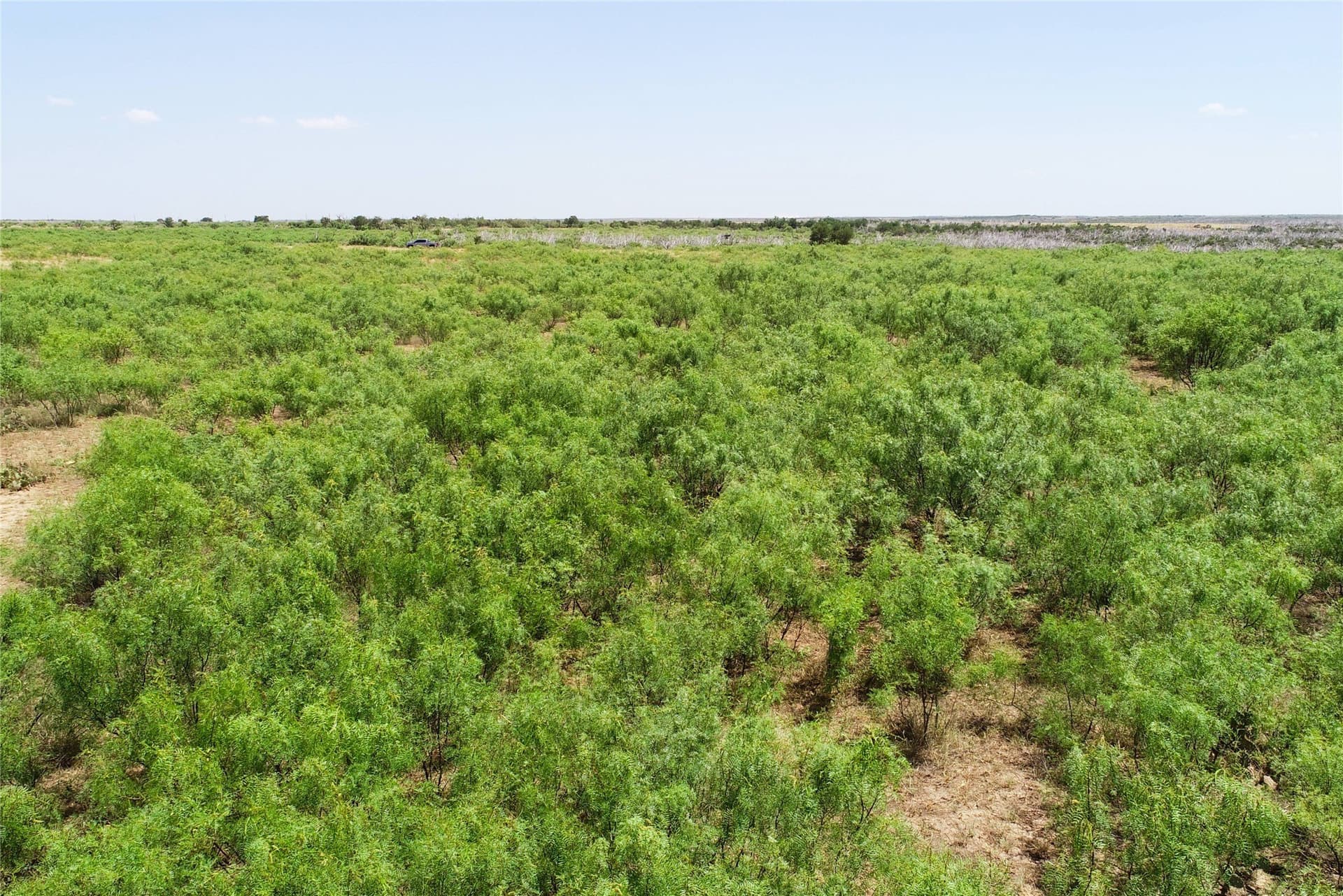 320 acres in Hardeman County - photo 25