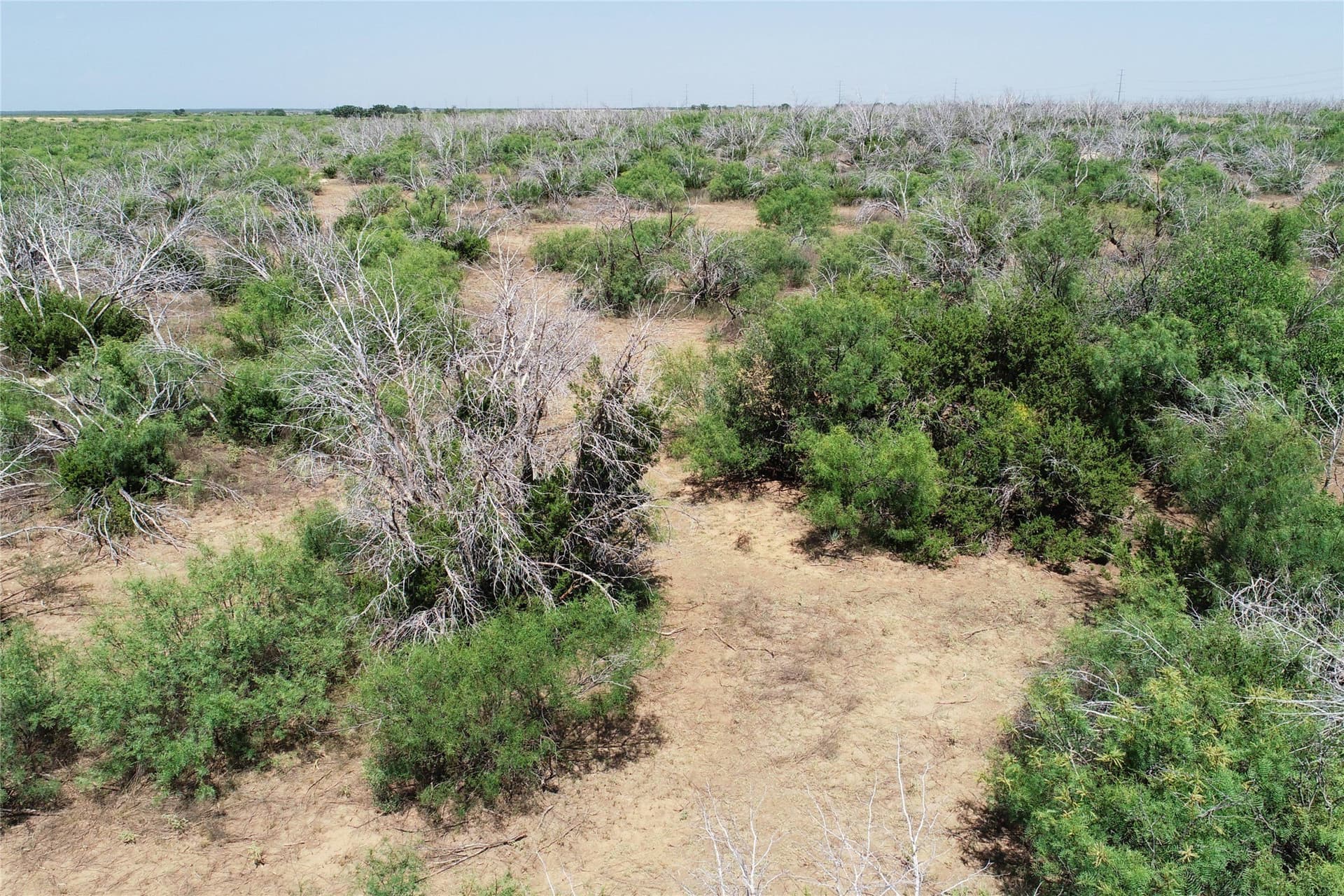 320 acres in Hardeman County - photo 7