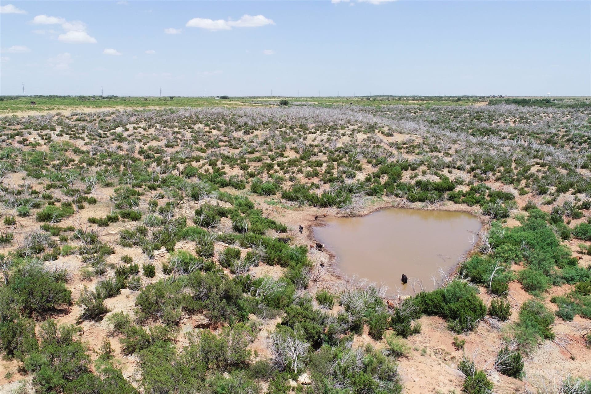 320 acres in Hardeman County - photo 21