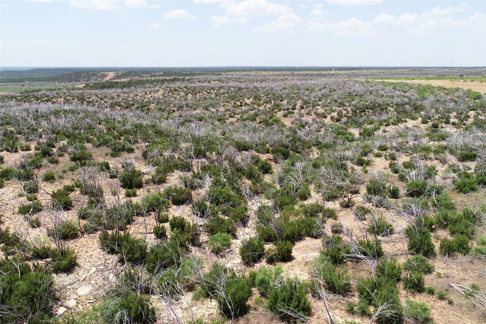 320 acres in Hardeman County - photo 16