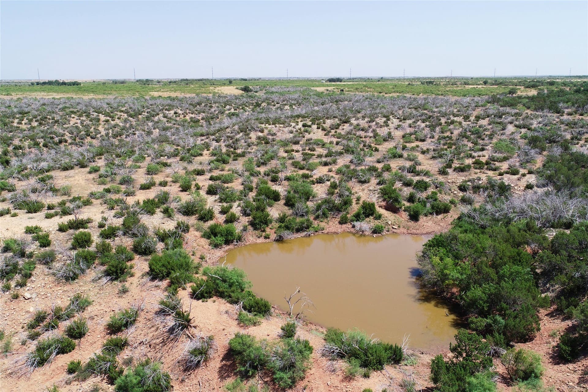 320 acres in Hardeman County - photo 10