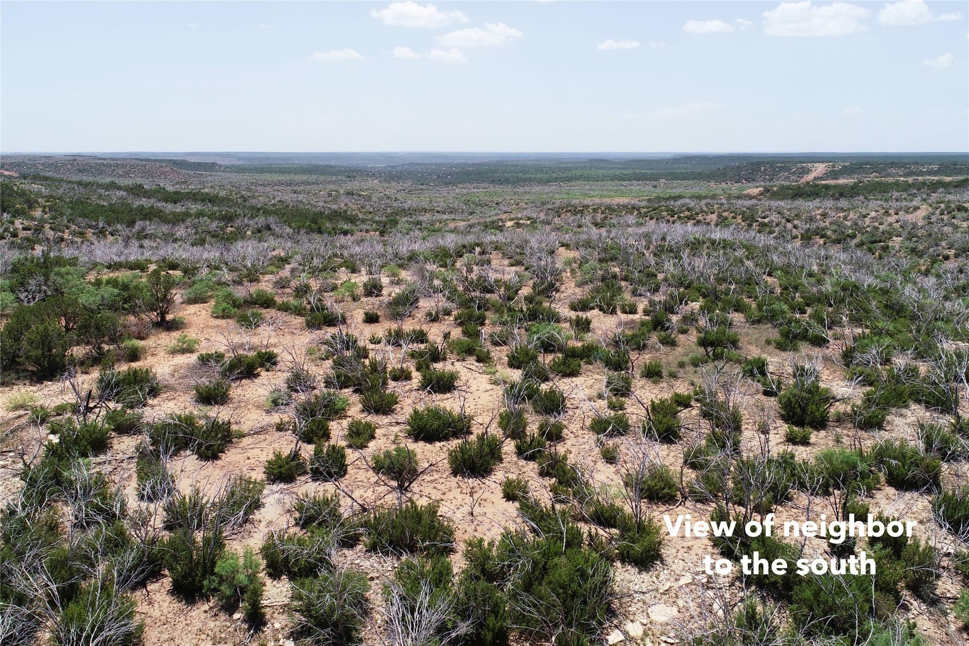320 acres in Hardeman County - photo 17