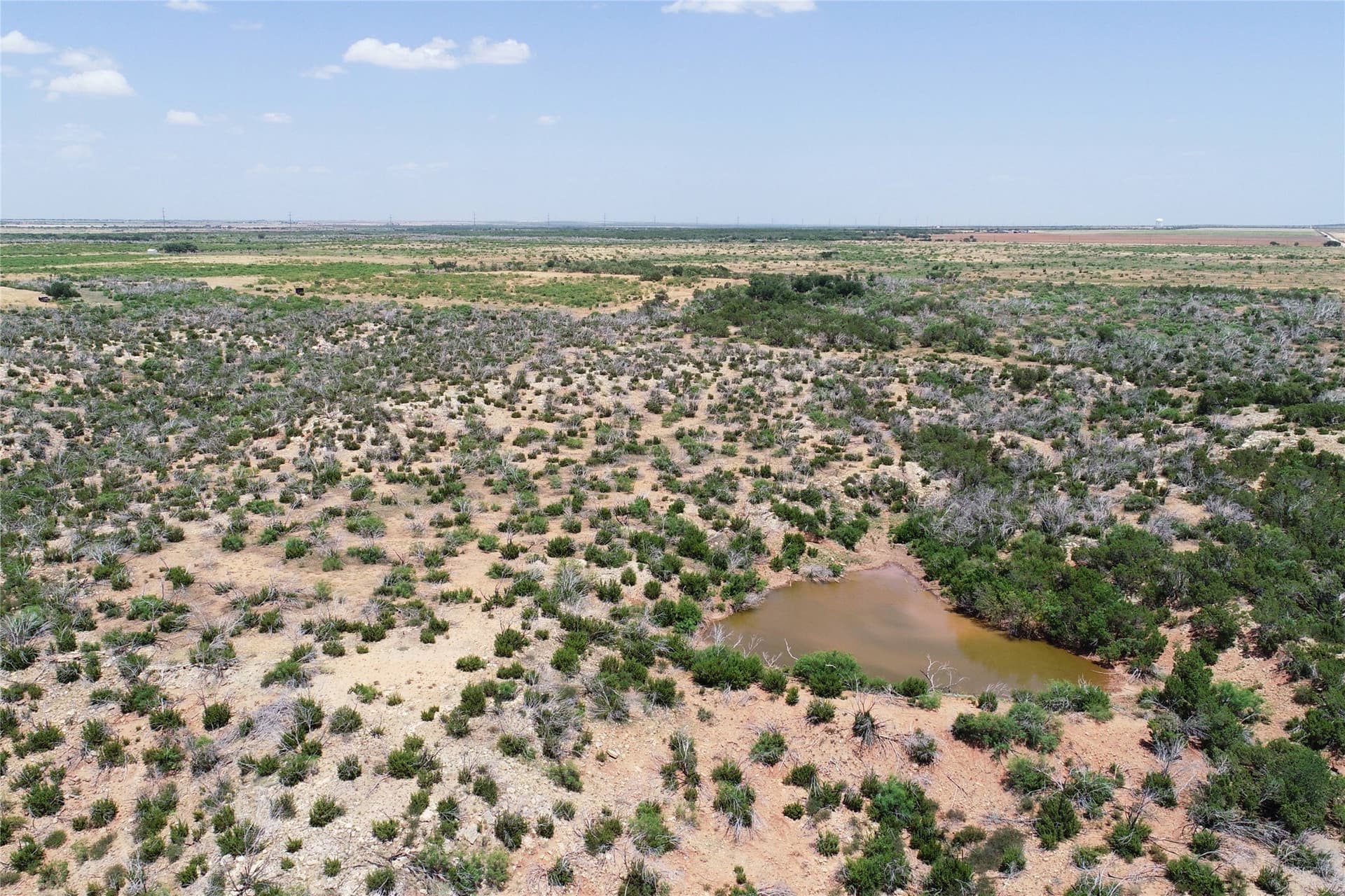 320 acres in Hardeman County - photo 22