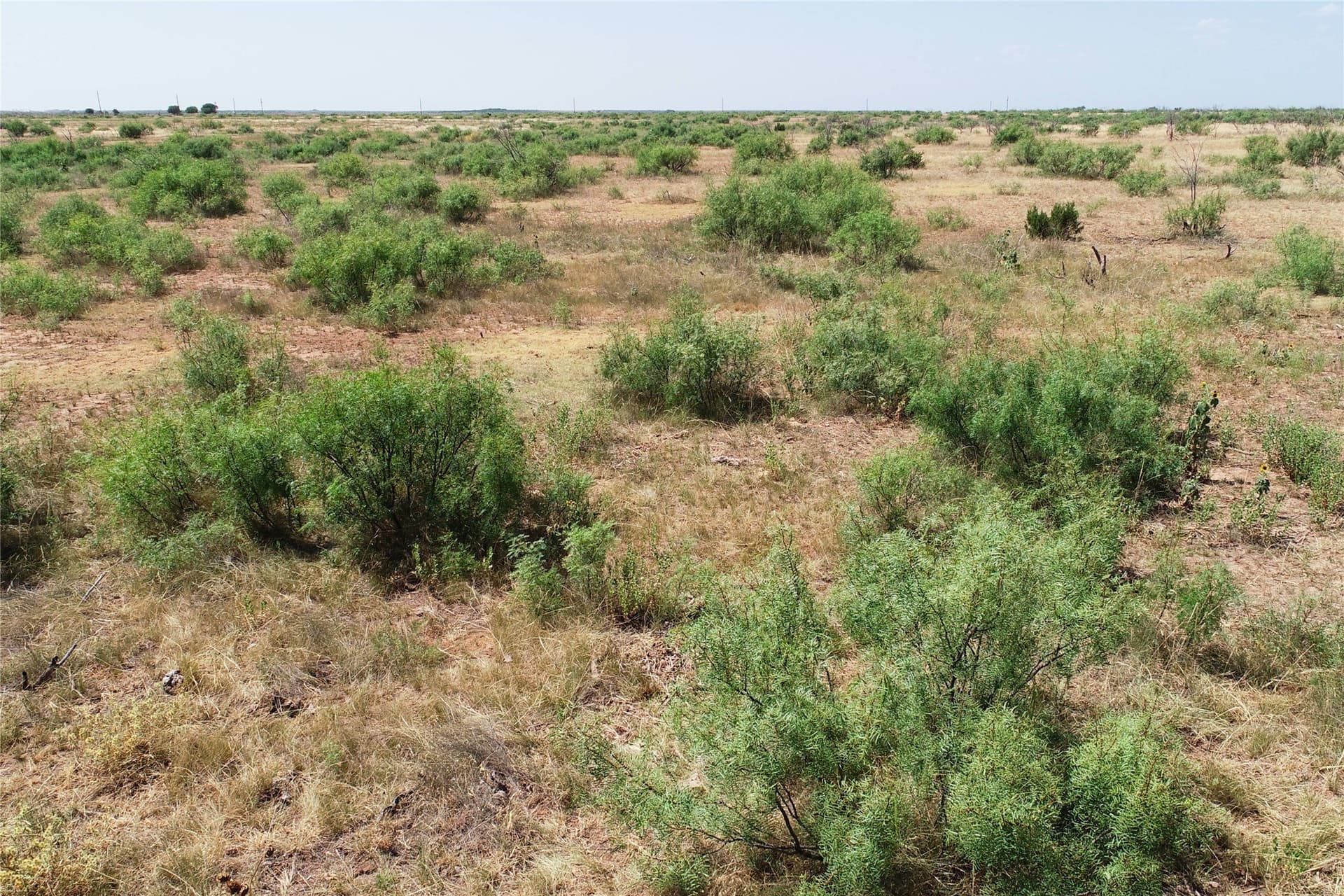 320 acres in Hardeman County - photo 8