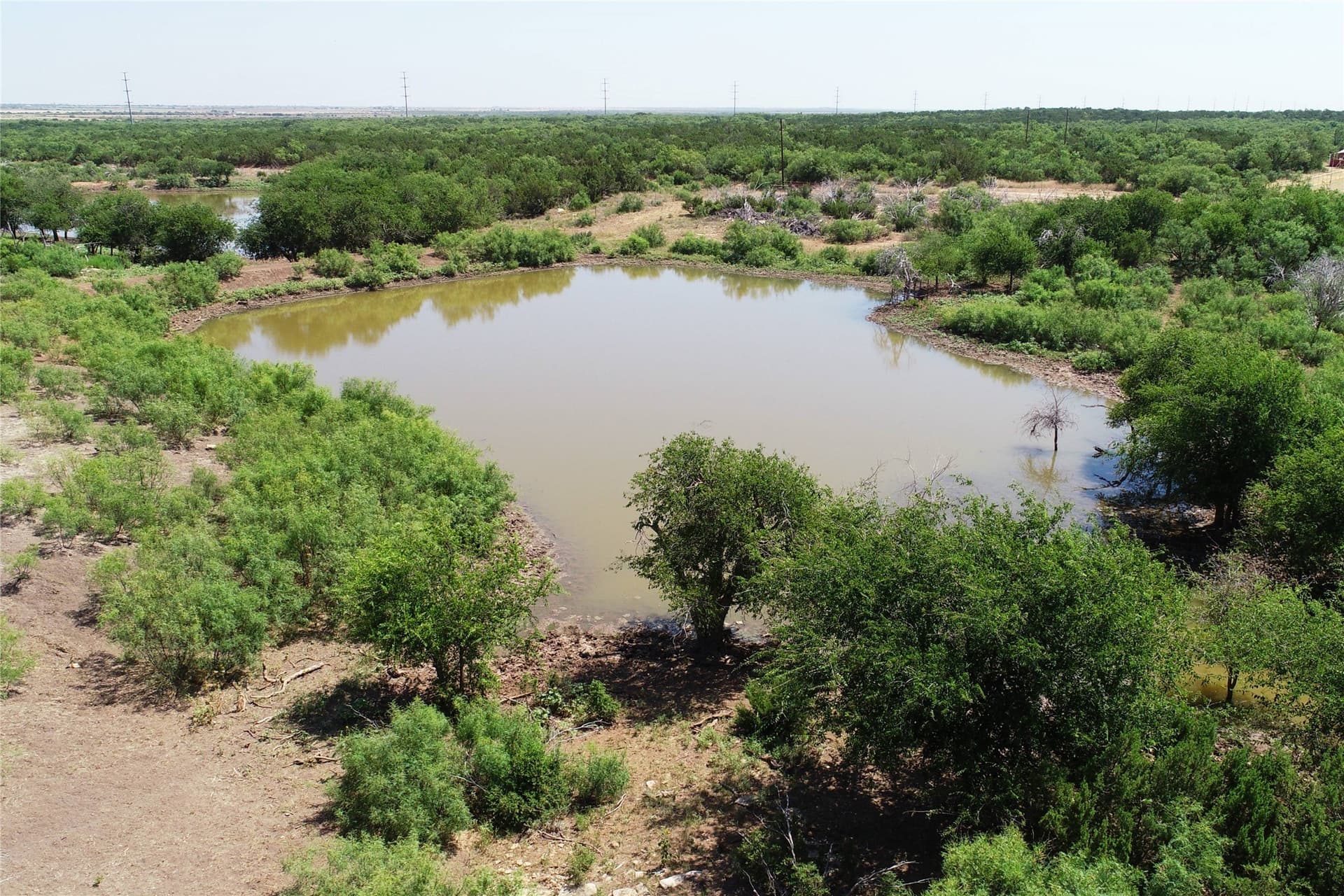 320 acres in Hardeman County featured view