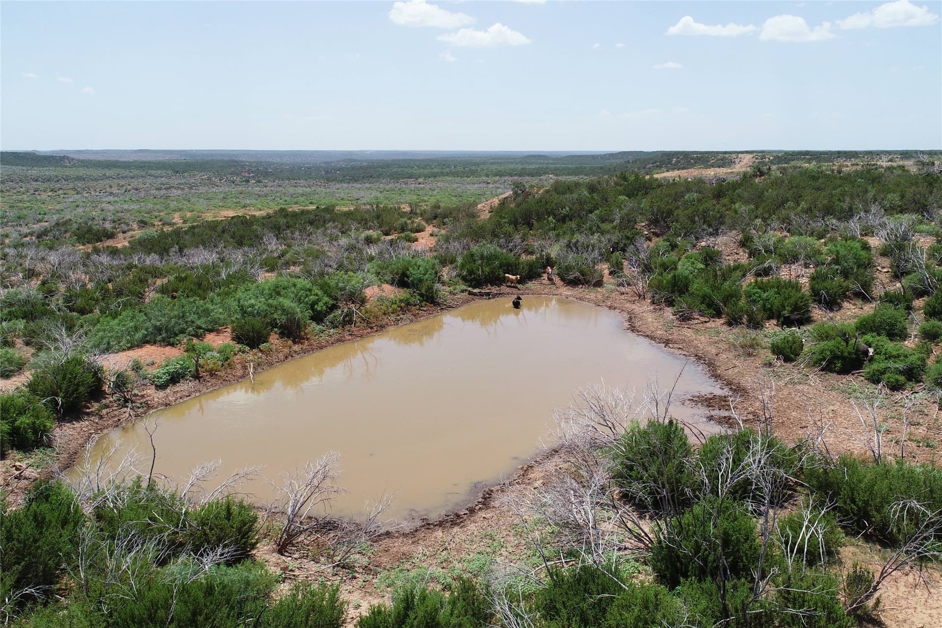 320 acres in Hardeman County - photo 20