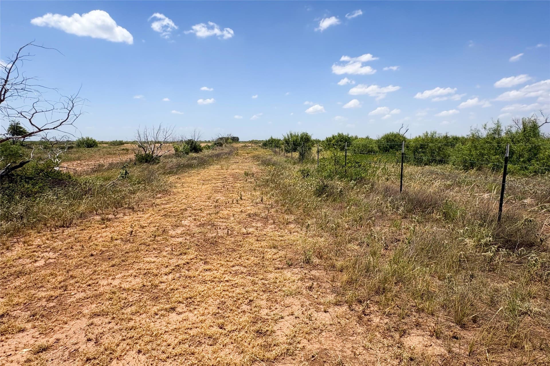 320 acres in Hardeman County - photo 26