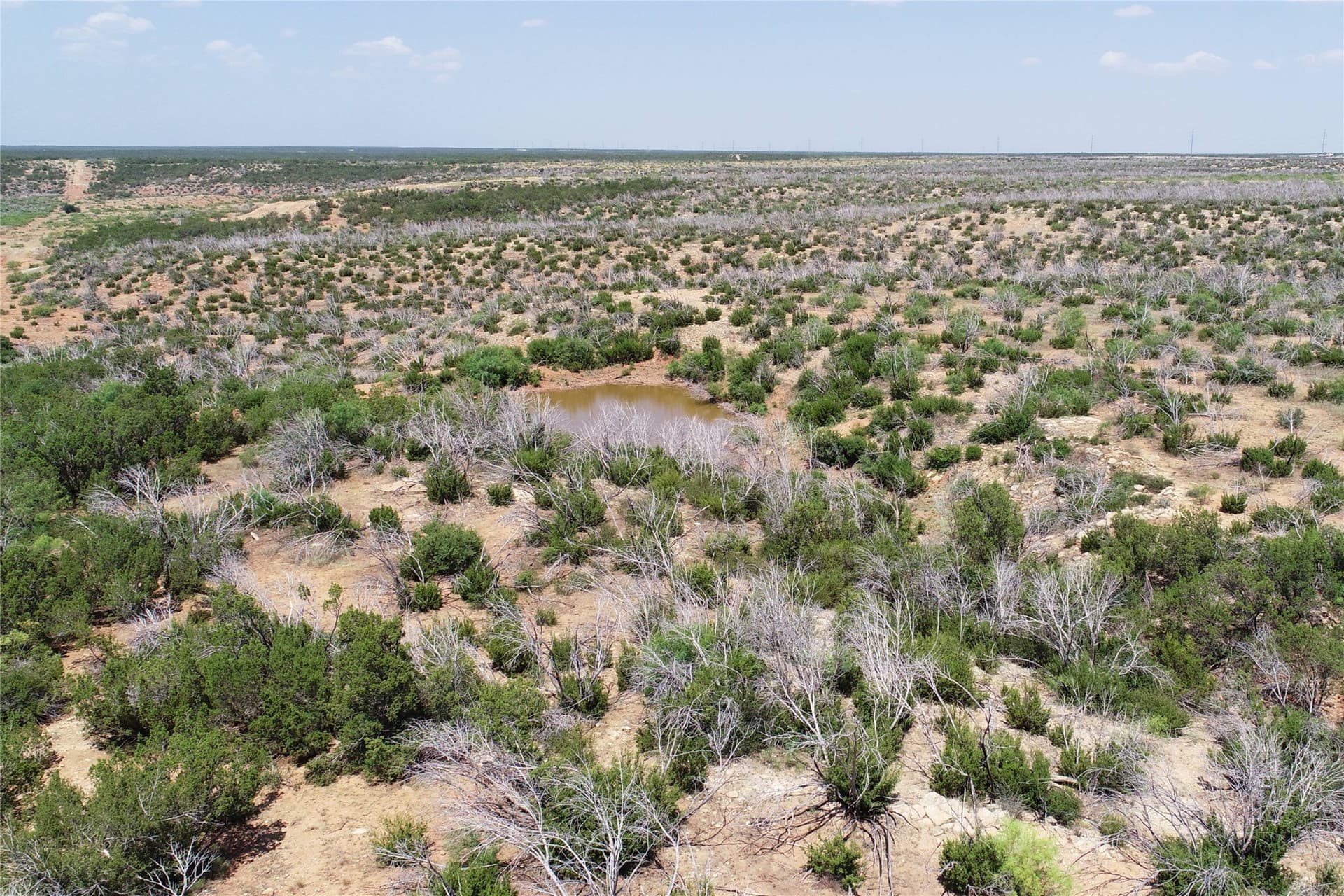 320 acres in Hardeman County - photo 12