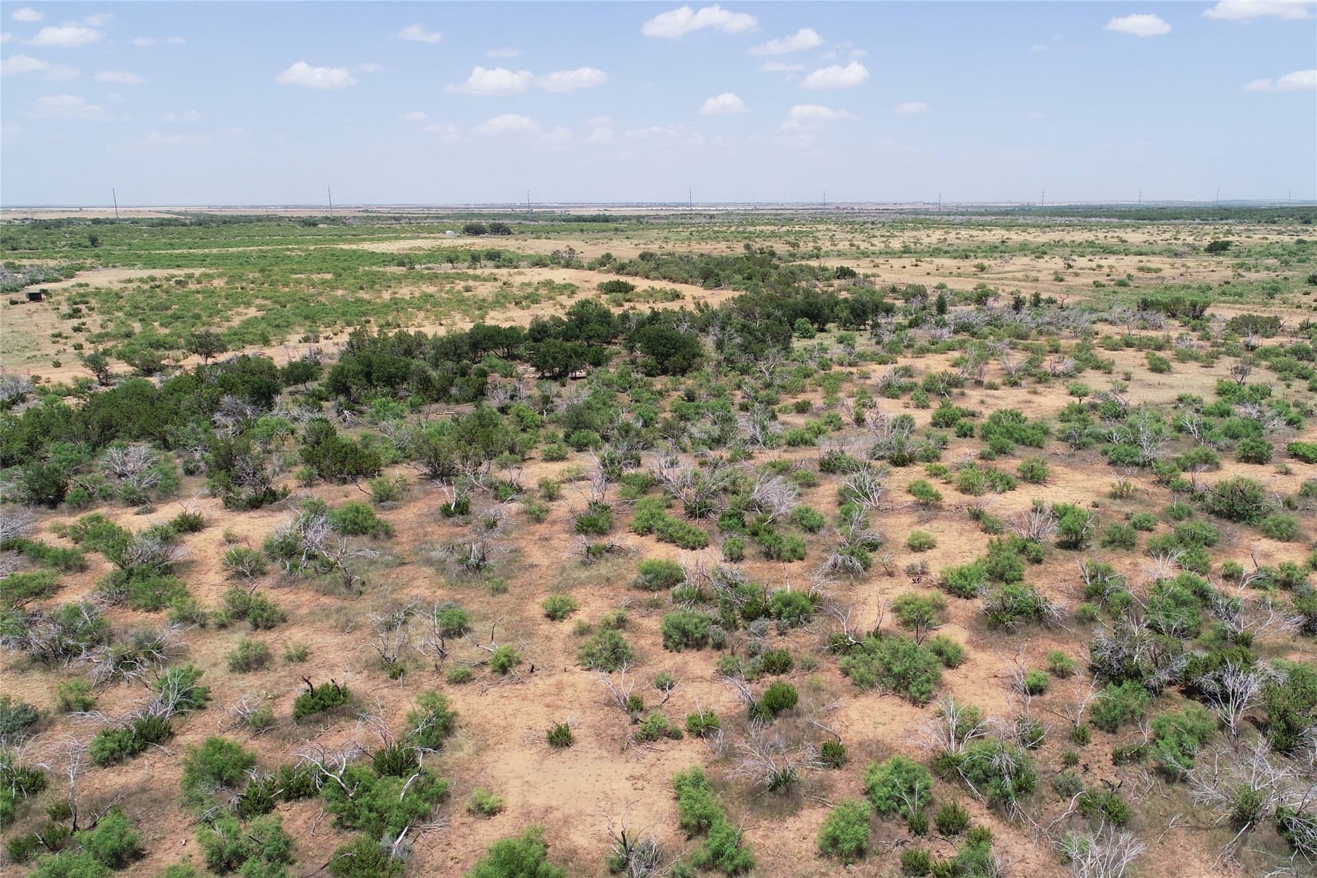 320 acres in Hardeman County - photo 18
