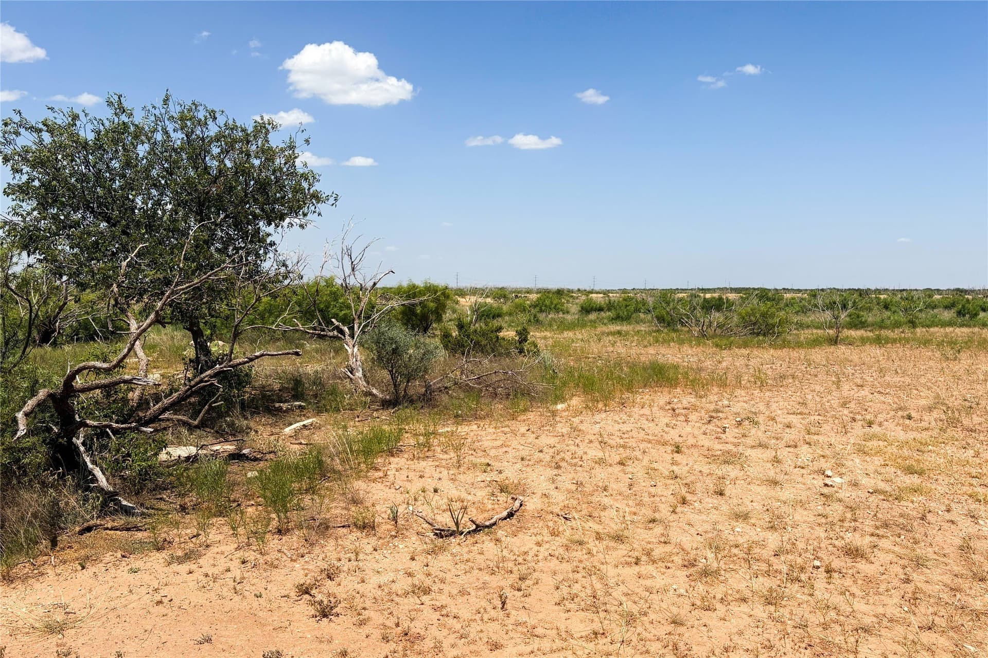 320 acres in Hardeman County - photo 35