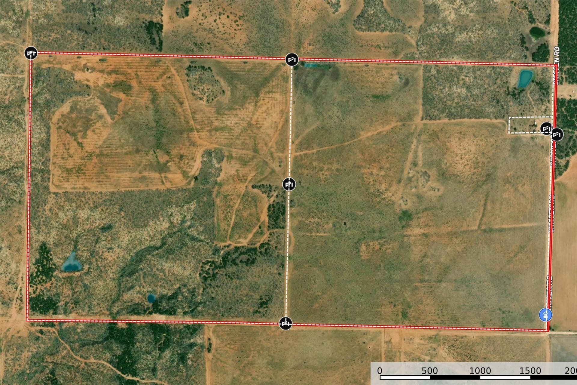 320 acres in Hardeman County gallery image 3