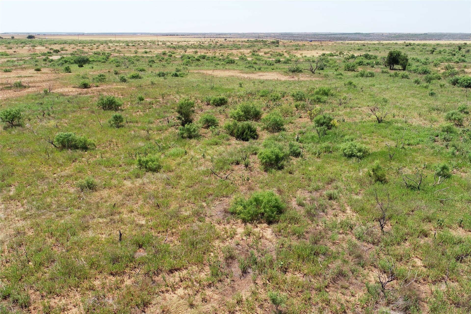320 acres in Hardeman County - photo 13