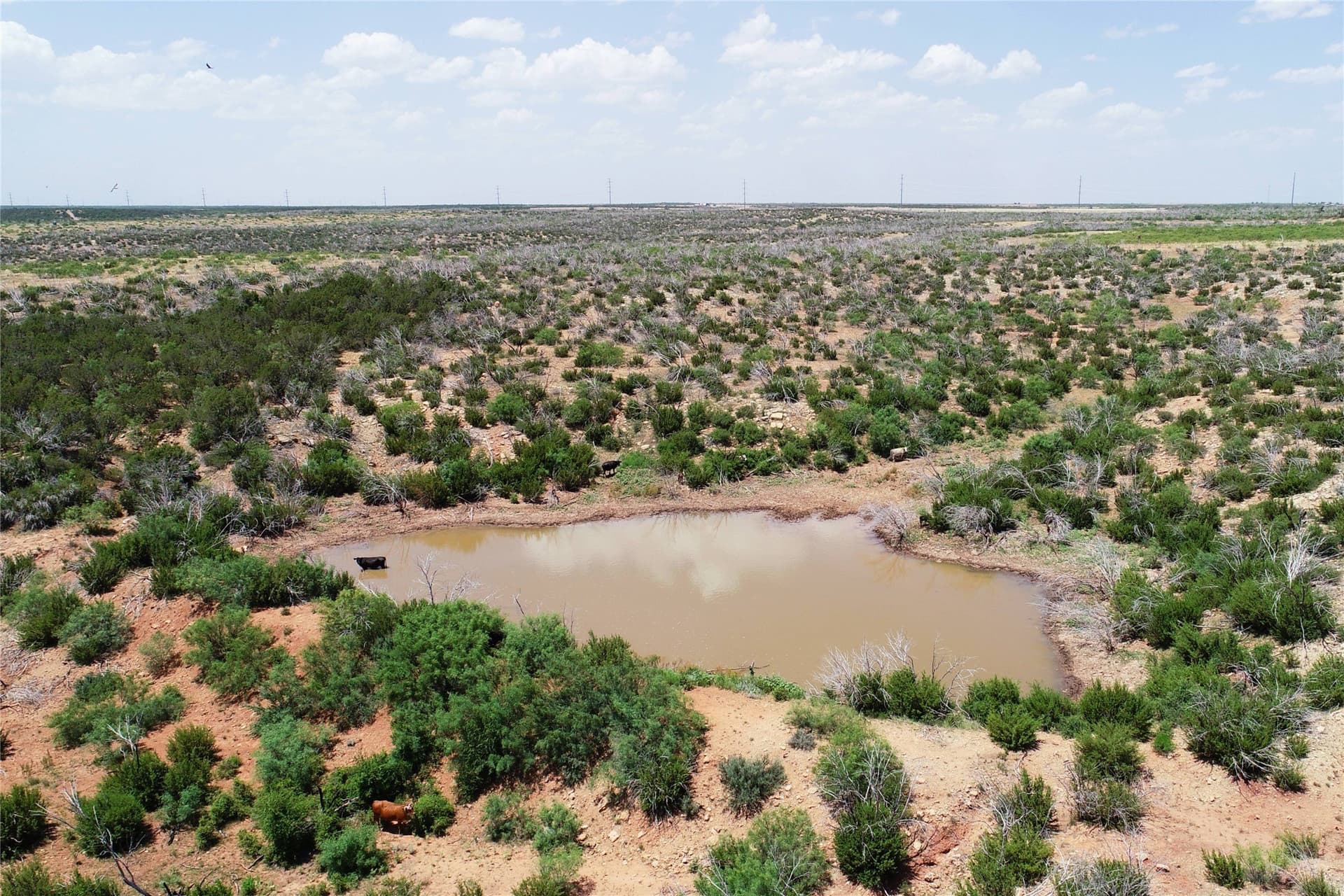 320 acres in Hardeman County - photo 19