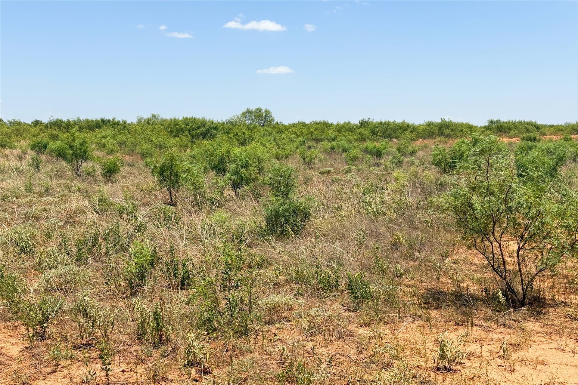 320 acres in Hardeman County - photo 30
